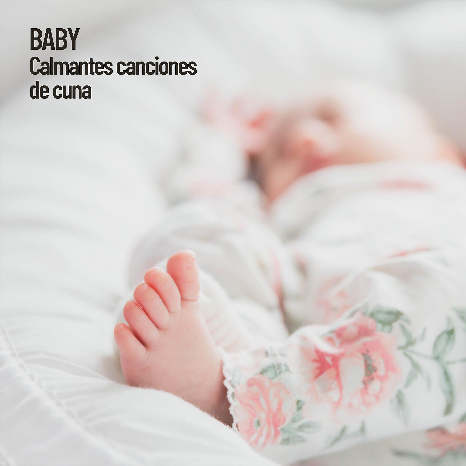 Постер альбома Baby: Calmantes canciones de cuna