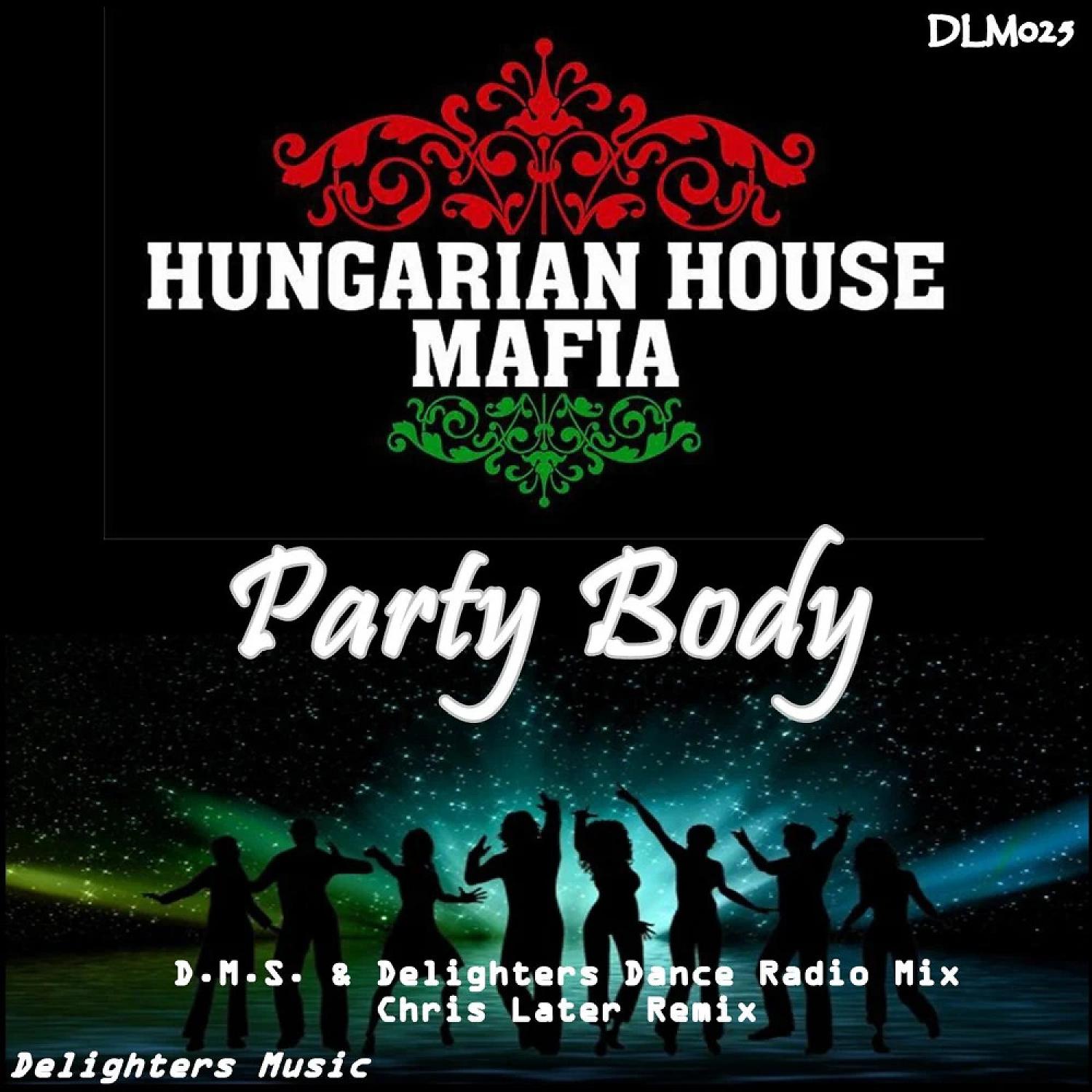 Постер альбома Party Body (feat. Leo Samuelle)