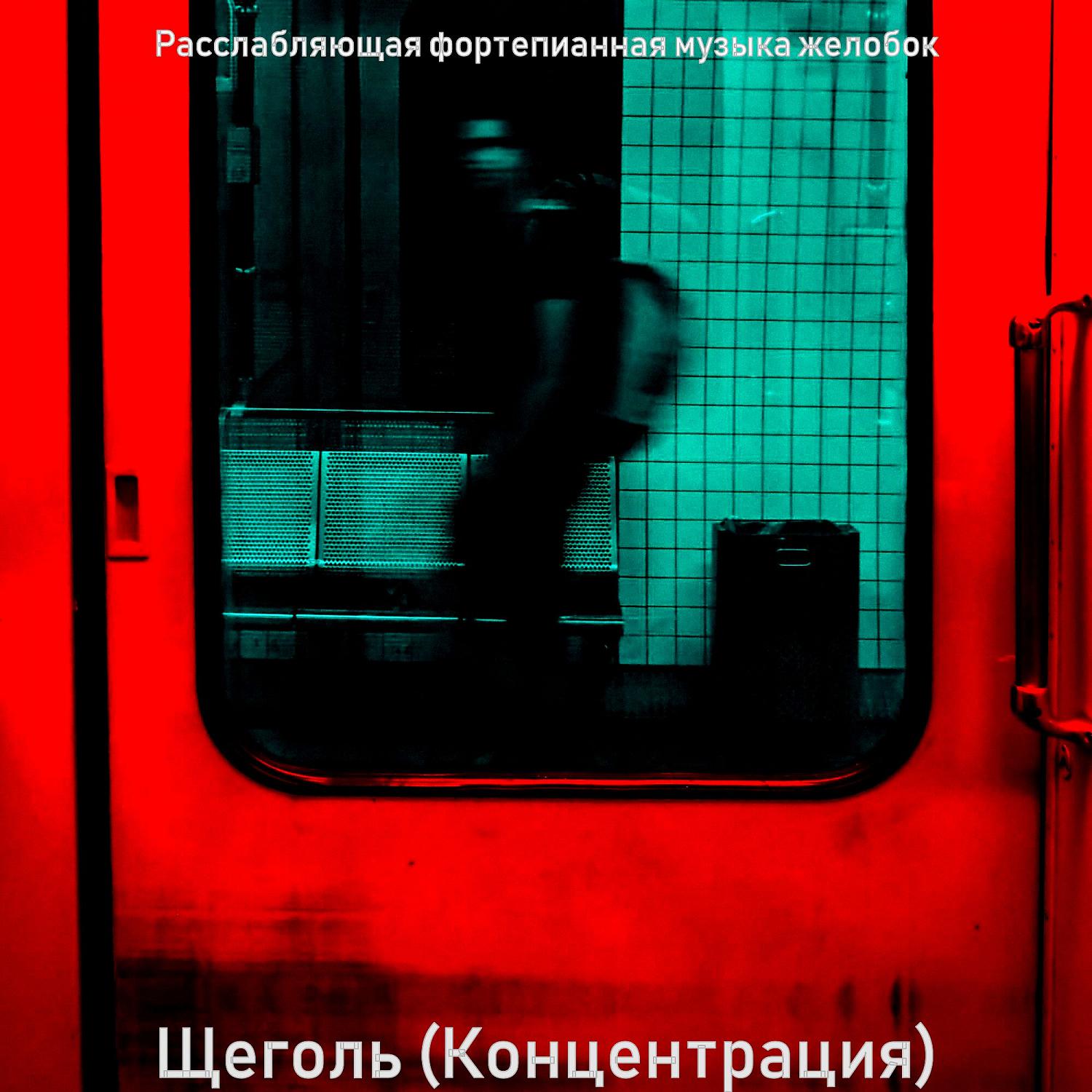 Постер альбома Щеголь (Концентрация)