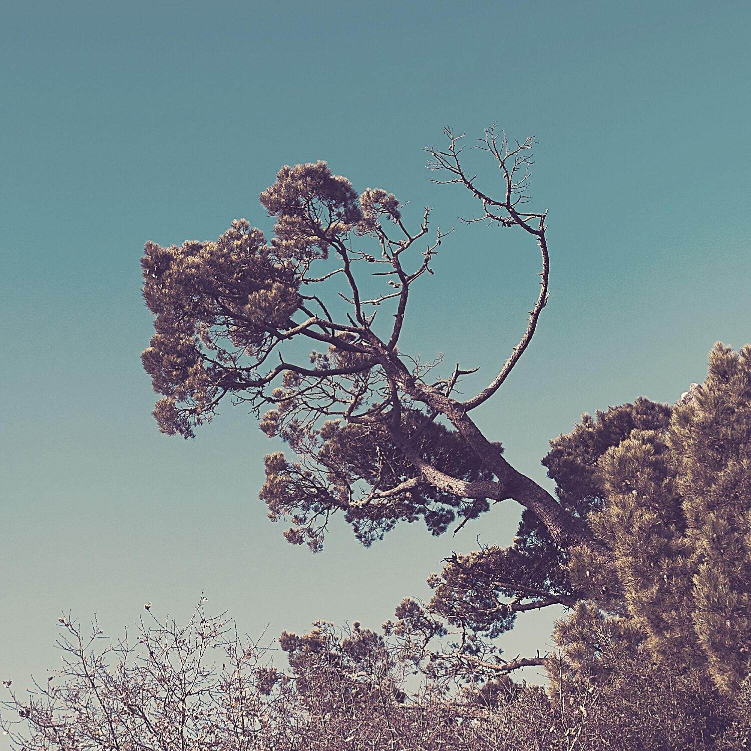 Soft Jazz Playlist - Deluxe Ambience for Summer Vacation