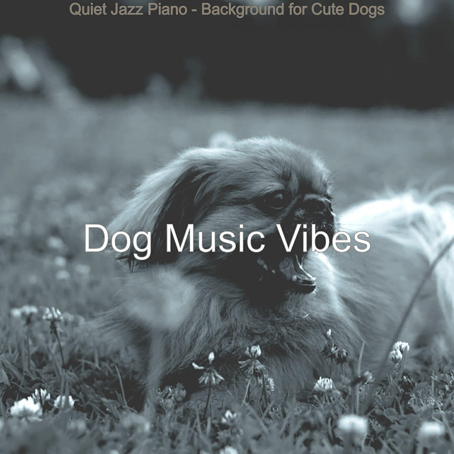 Dog Music Vibes - Hypnotic Solo Piano Jazz - Vibe for Reducing Dog Stress