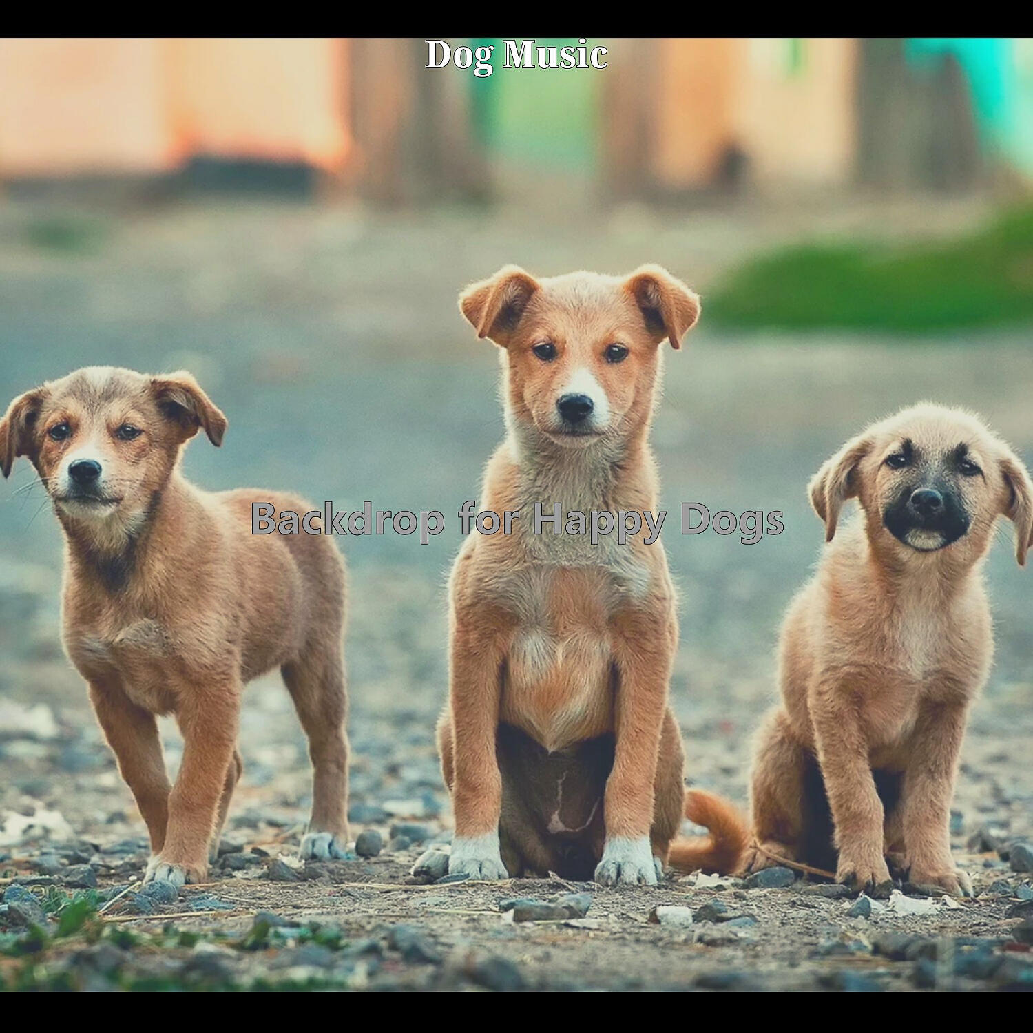 Dog Music - Easy Listening Acoustic Guitar Soundtrack for Walking Dogs