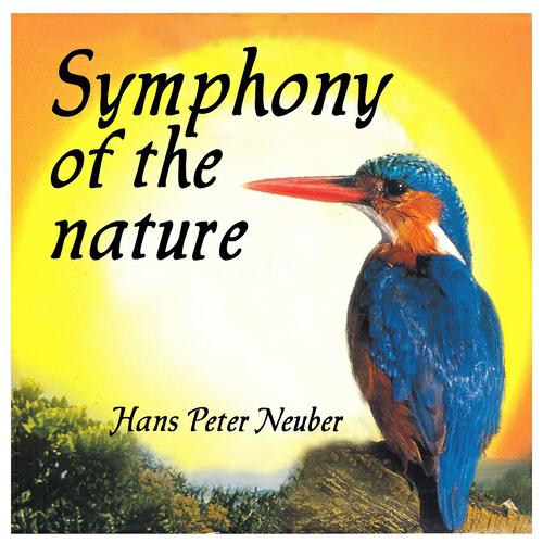 Hans Peter Neuber - Melancholy With Robin and Chaffinch (Melancholie mit Rotkehlchen und Buchfink)