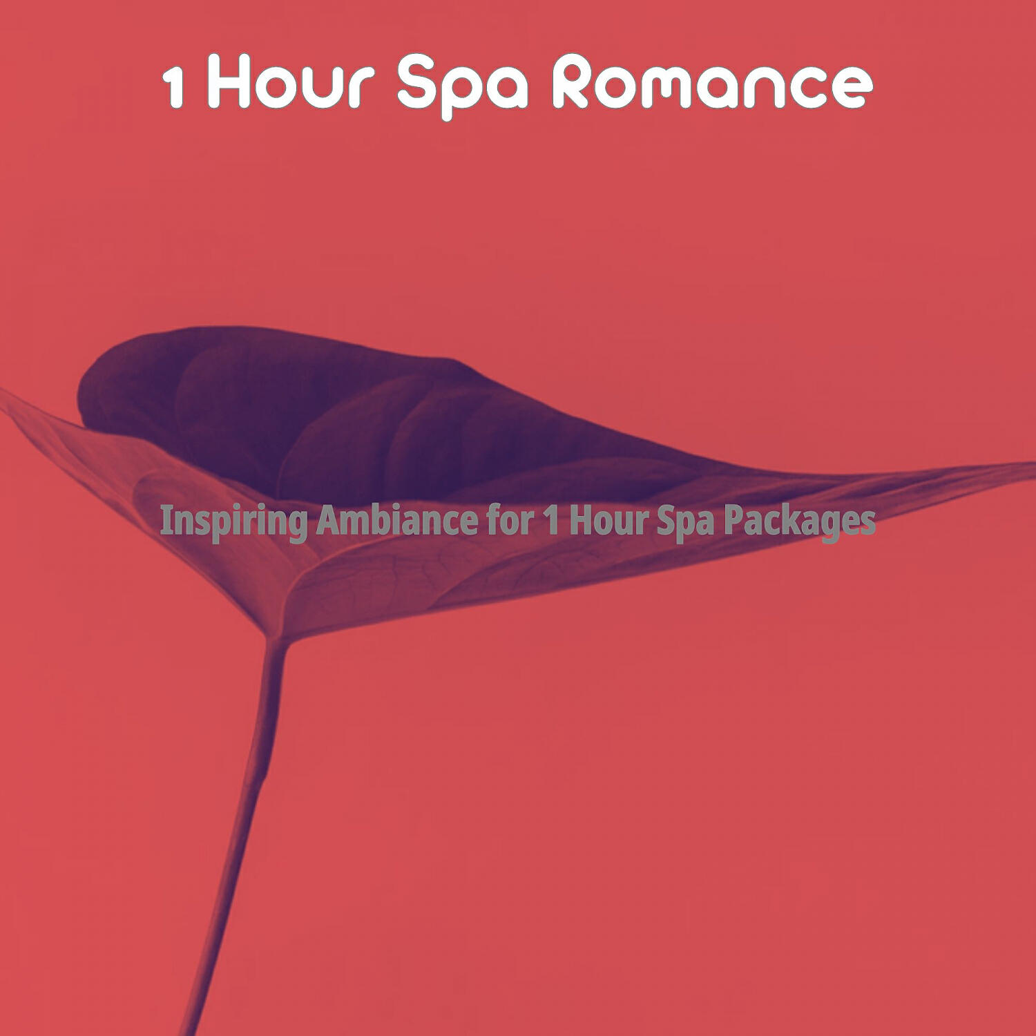 1 Hour Spa Romance - Subtle Backdrops for Spa Days