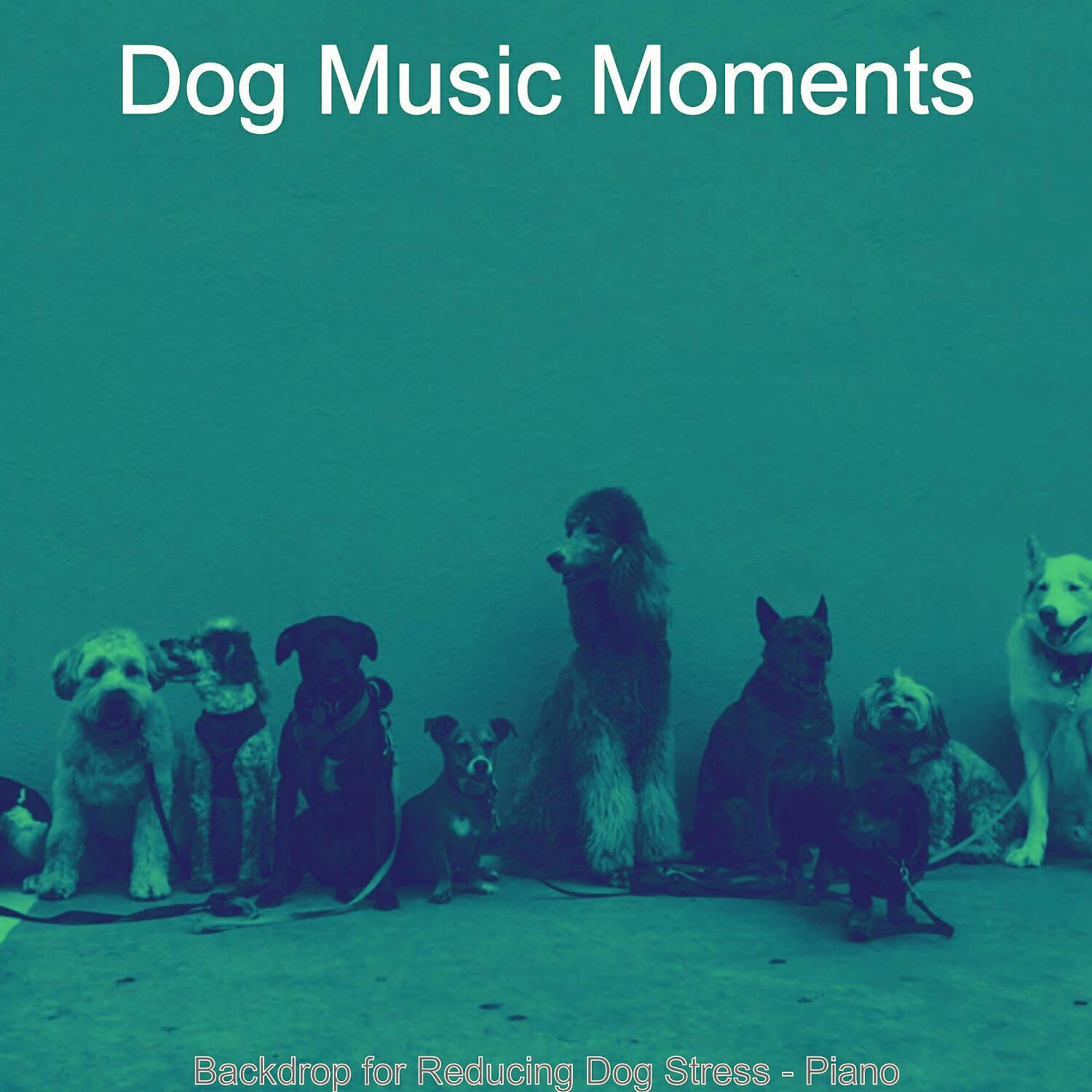 Dog Music Moments - Distinguished Music for Reducing Dog Stress
