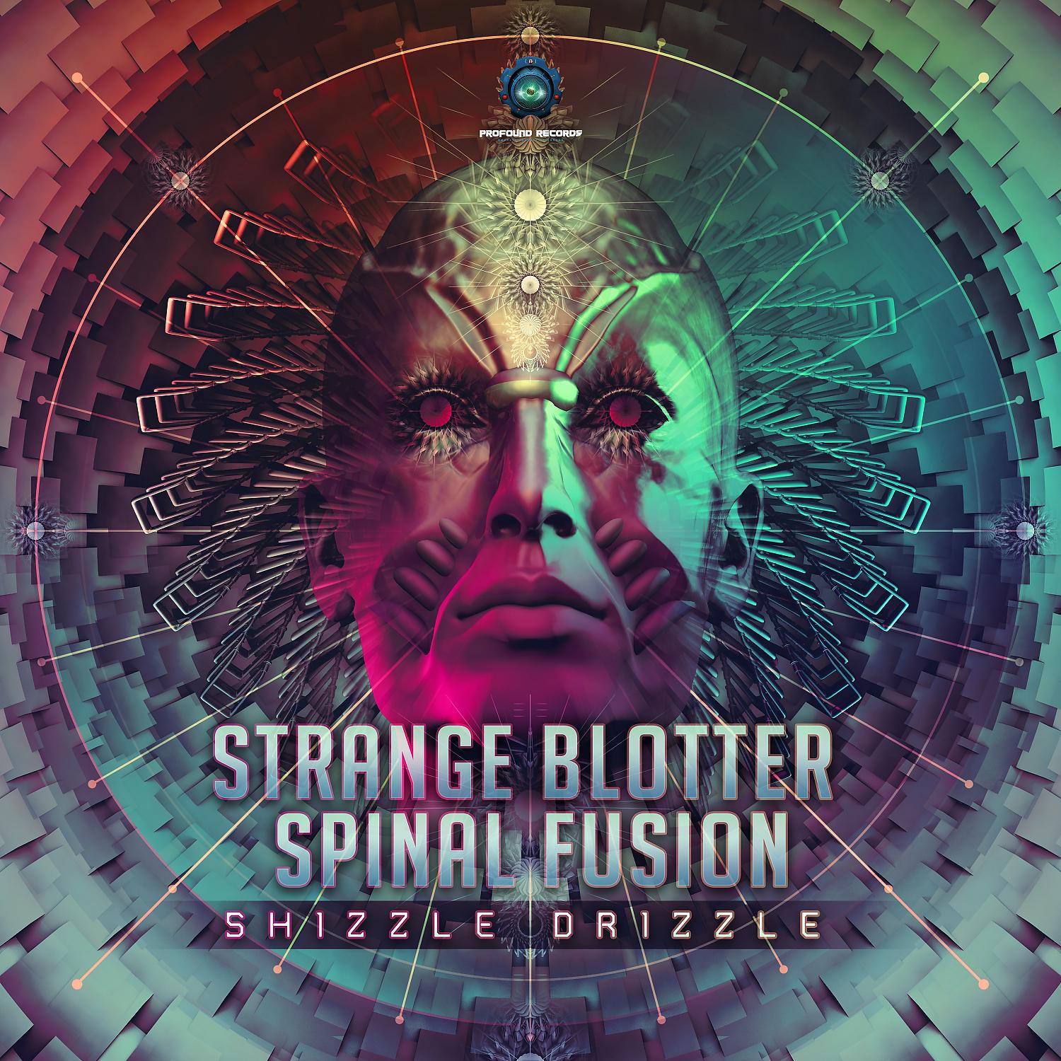 Постер альбома Shizzle Drizzle