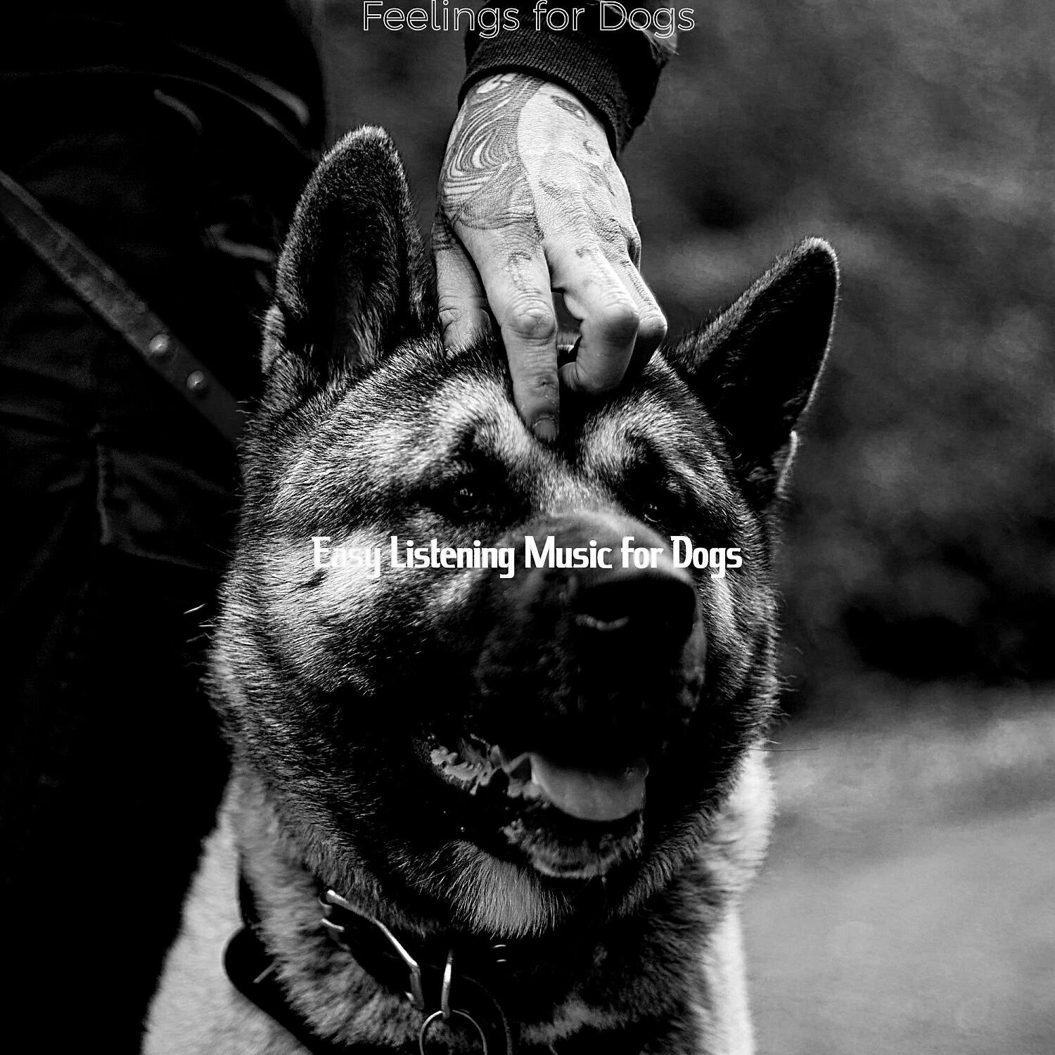 Easy Listening Music for Dogs - Fabulous Music for Separation Anxiety