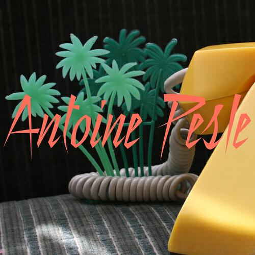 Antoine Pesle - Not afraid of (Dub Mix)