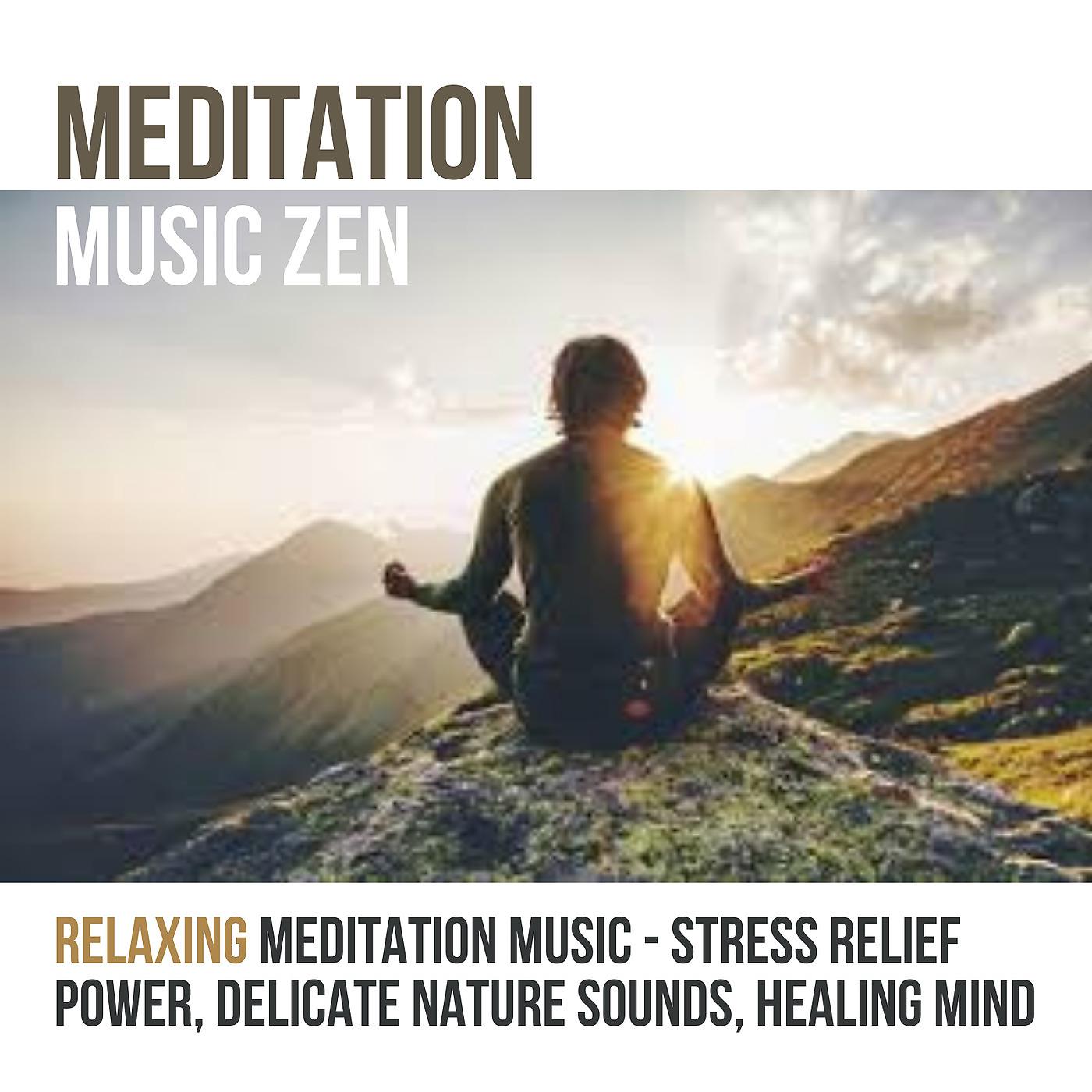 Постер альбома Relaxing Meditation Music - Stress Relief Power, Delicate Nature Sounds, Healing Mind