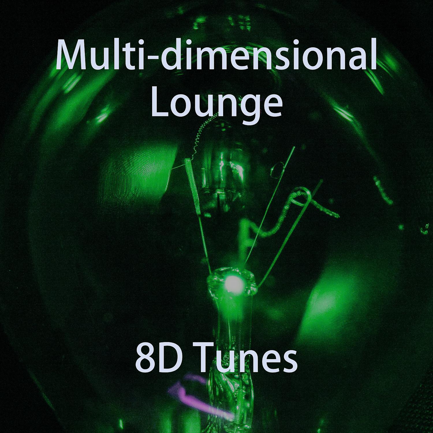 Постер альбома Multi-Dimensional Lounge