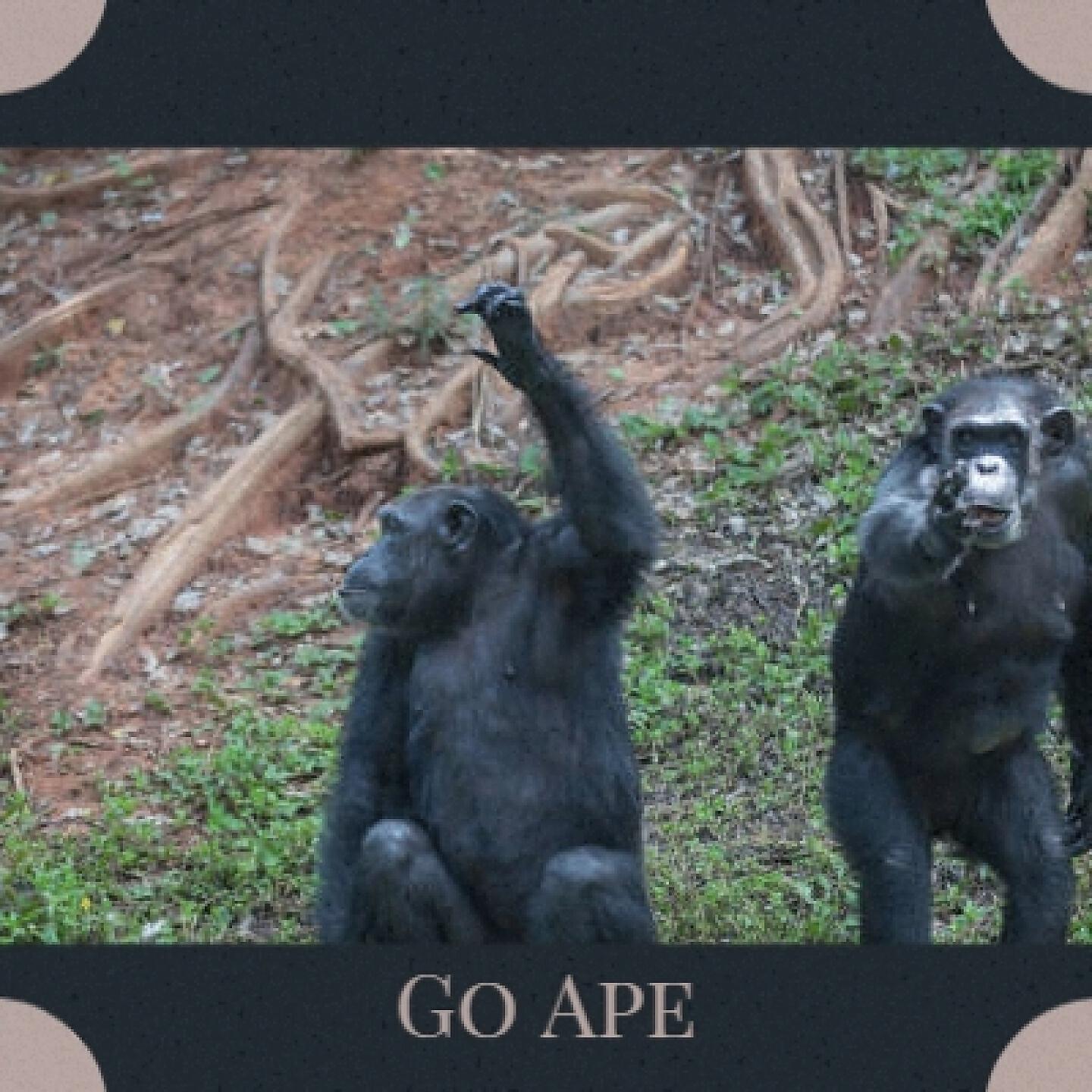 Albert Glasser - The Music Box／a Huk Climbs the Tower (Original Soundtrack from 'Huk!')