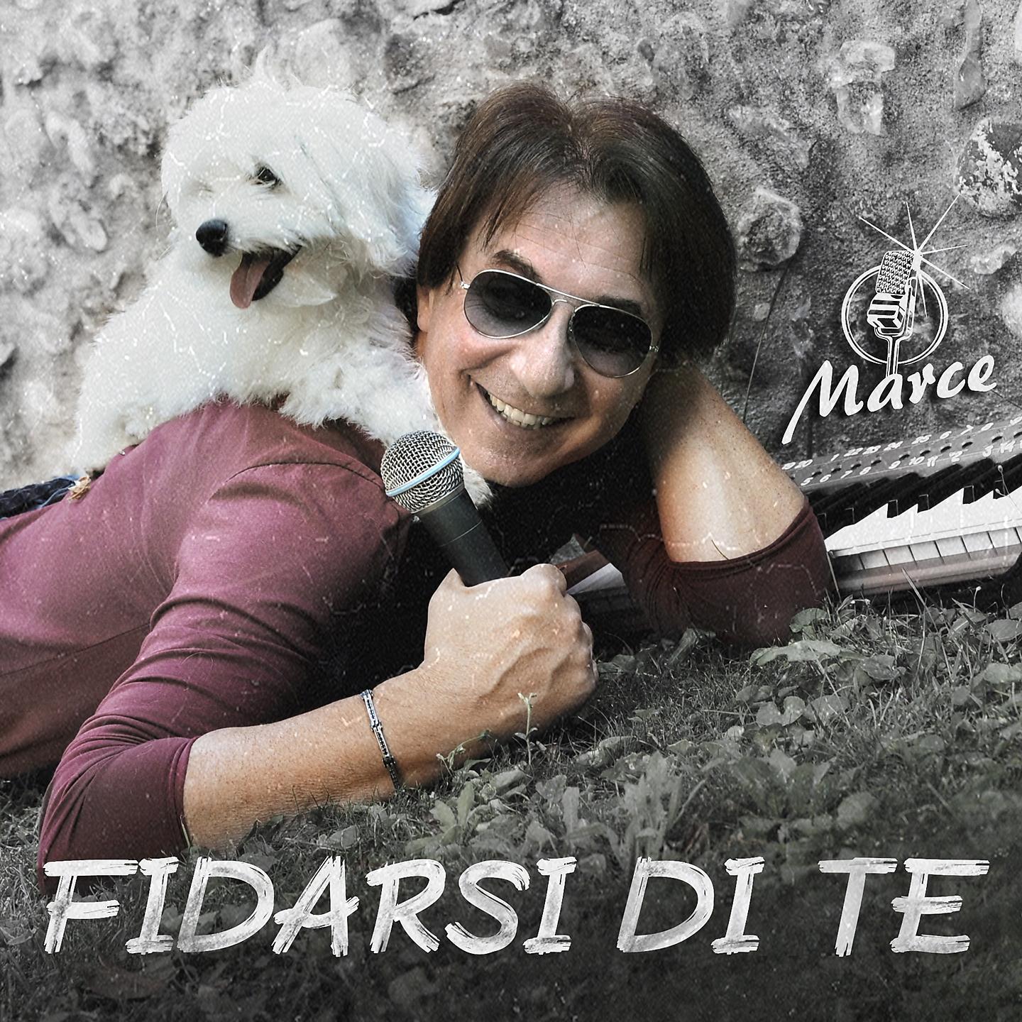 Постер альбома Fidarsi di te