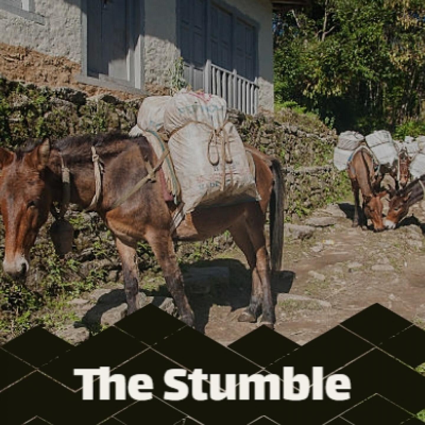 Freddy King - The Stumble