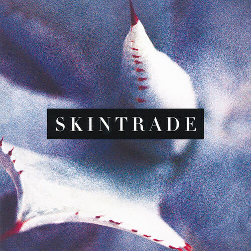 Skintrade - Null And Void