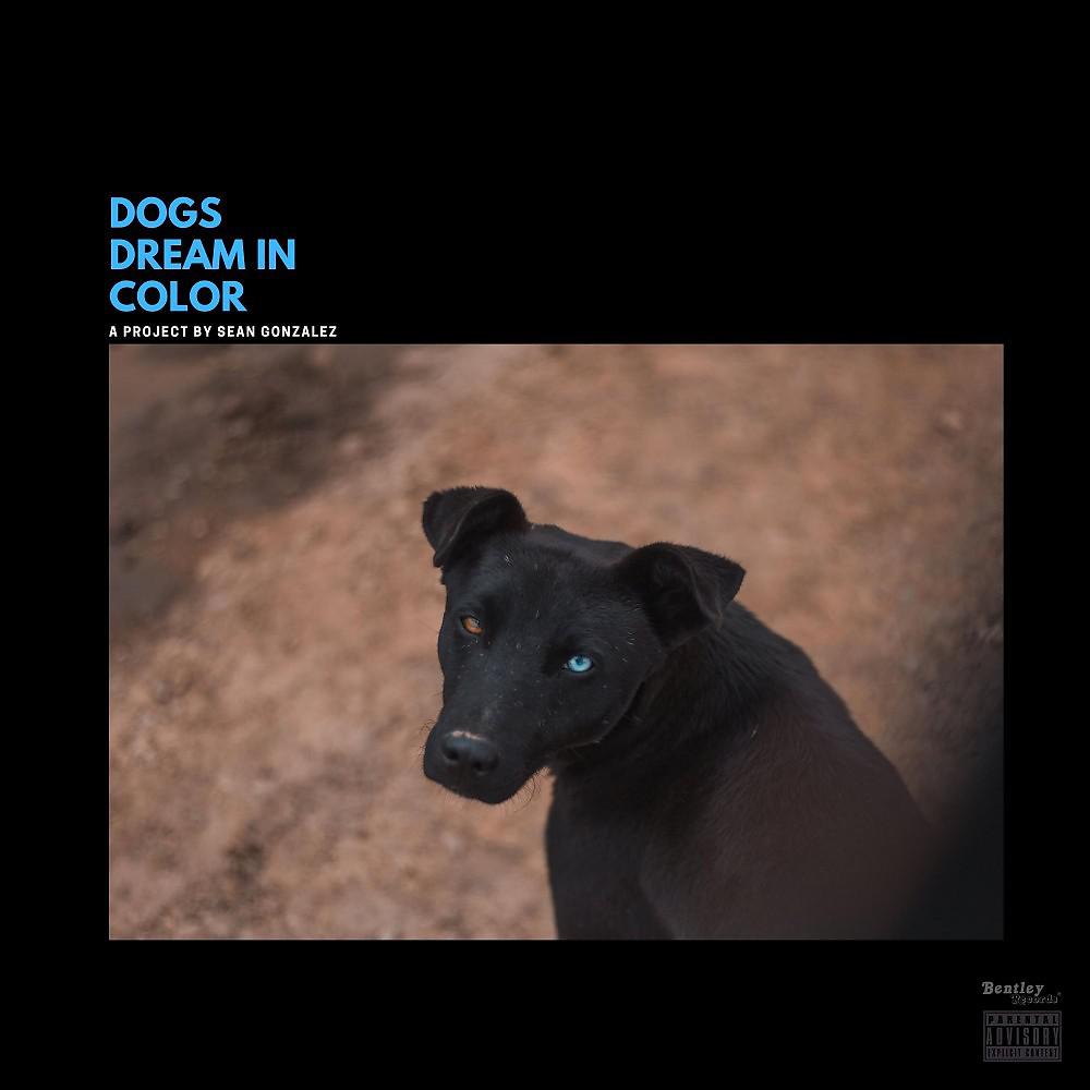 Постер альбома Dogs Dream in Color