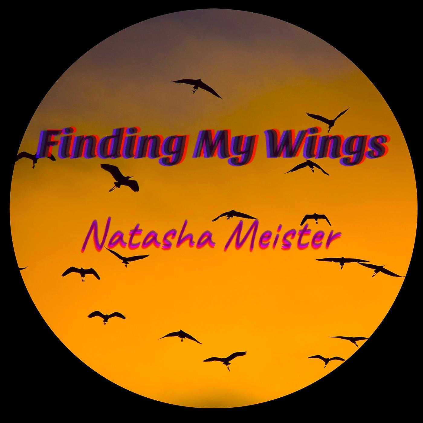 Постер альбома Finding My Wings