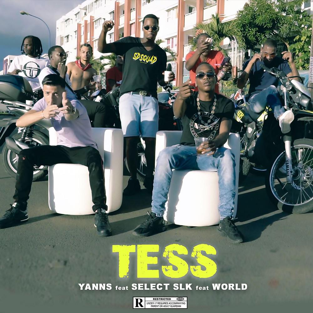 Постер альбома Tess