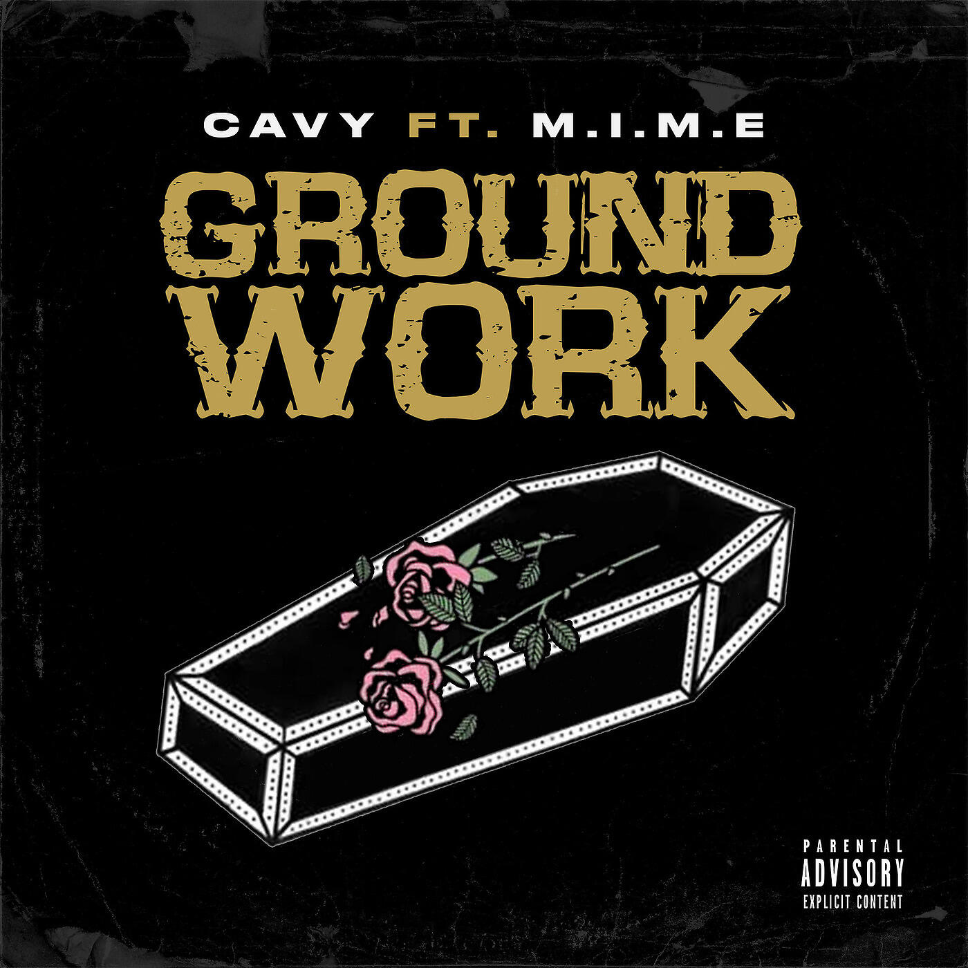 Cavy - Groundwork