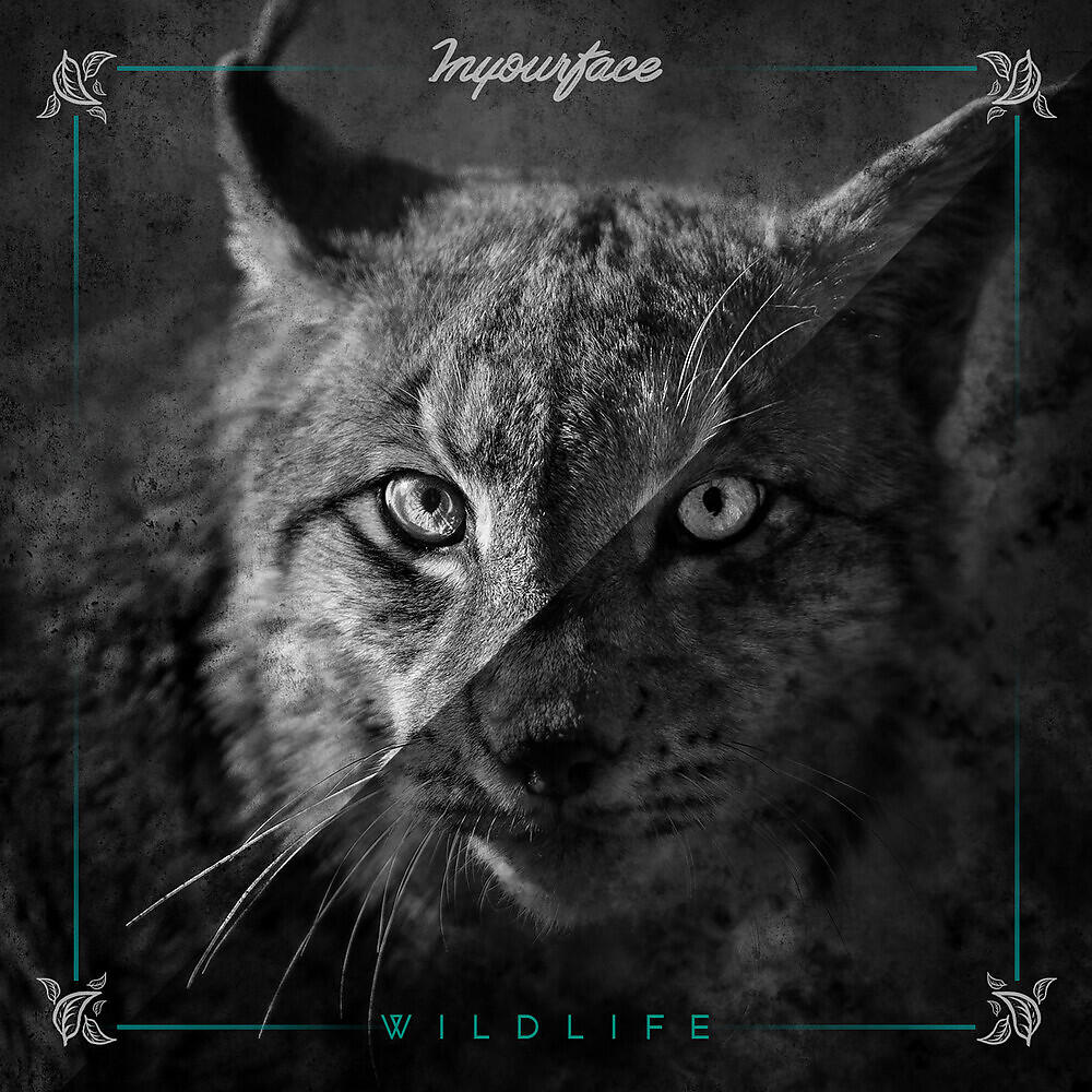 Постер альбома Wildlife