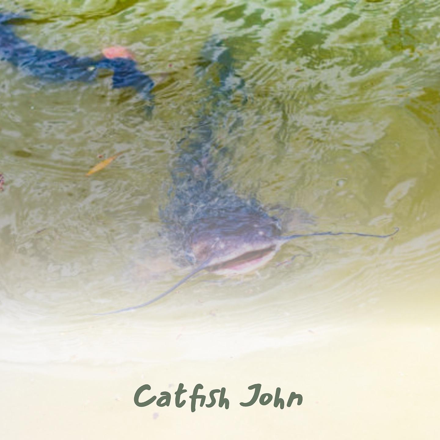Постер альбома Catfish John