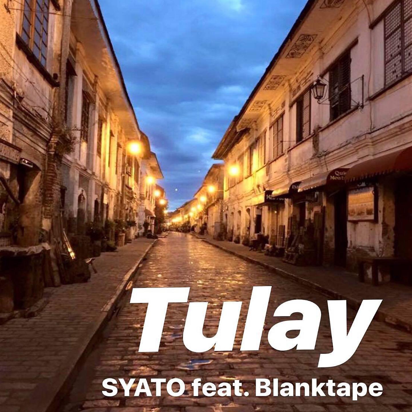 Постер альбома Tulay
