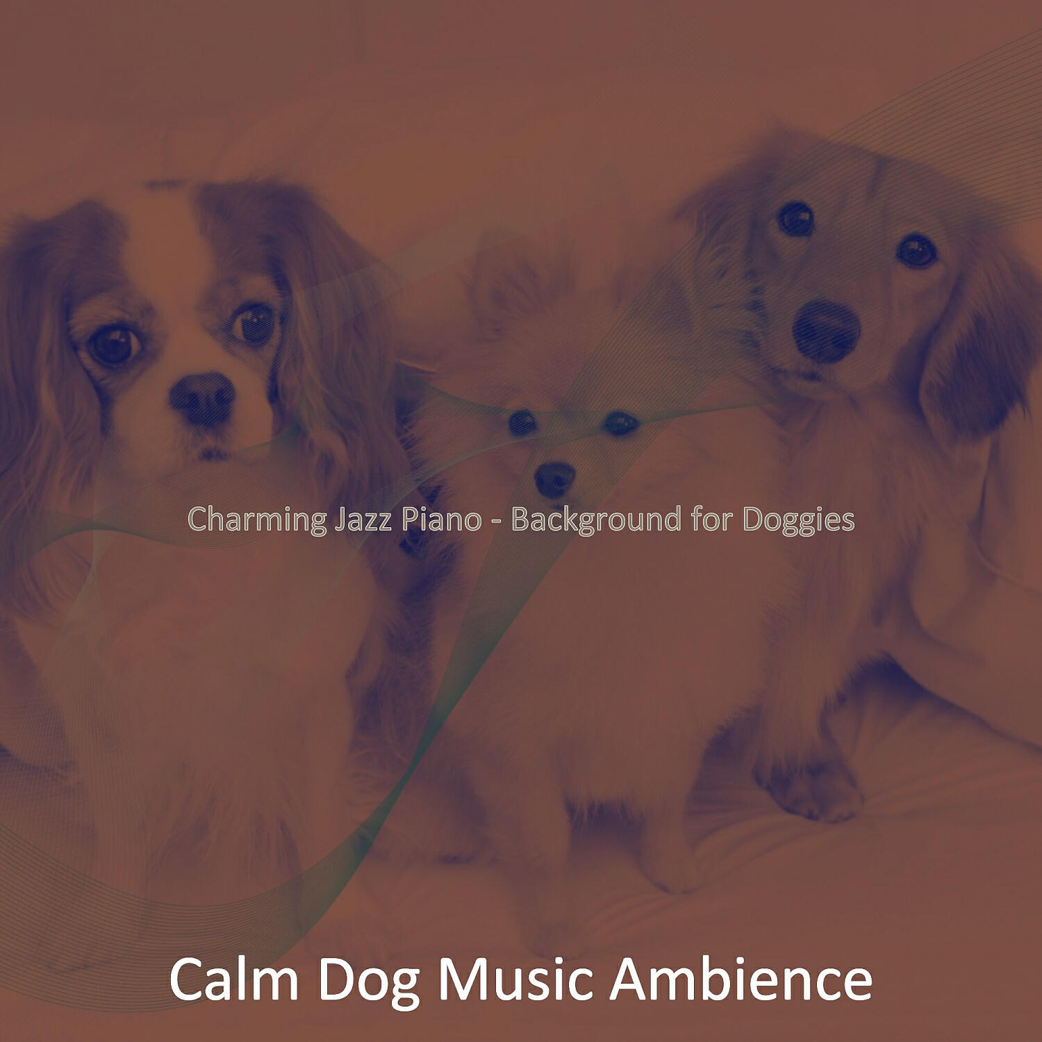 Calm Dog Music Ambience - Pulsating Solo Piano Jazz - Vibe for Cute Dogs