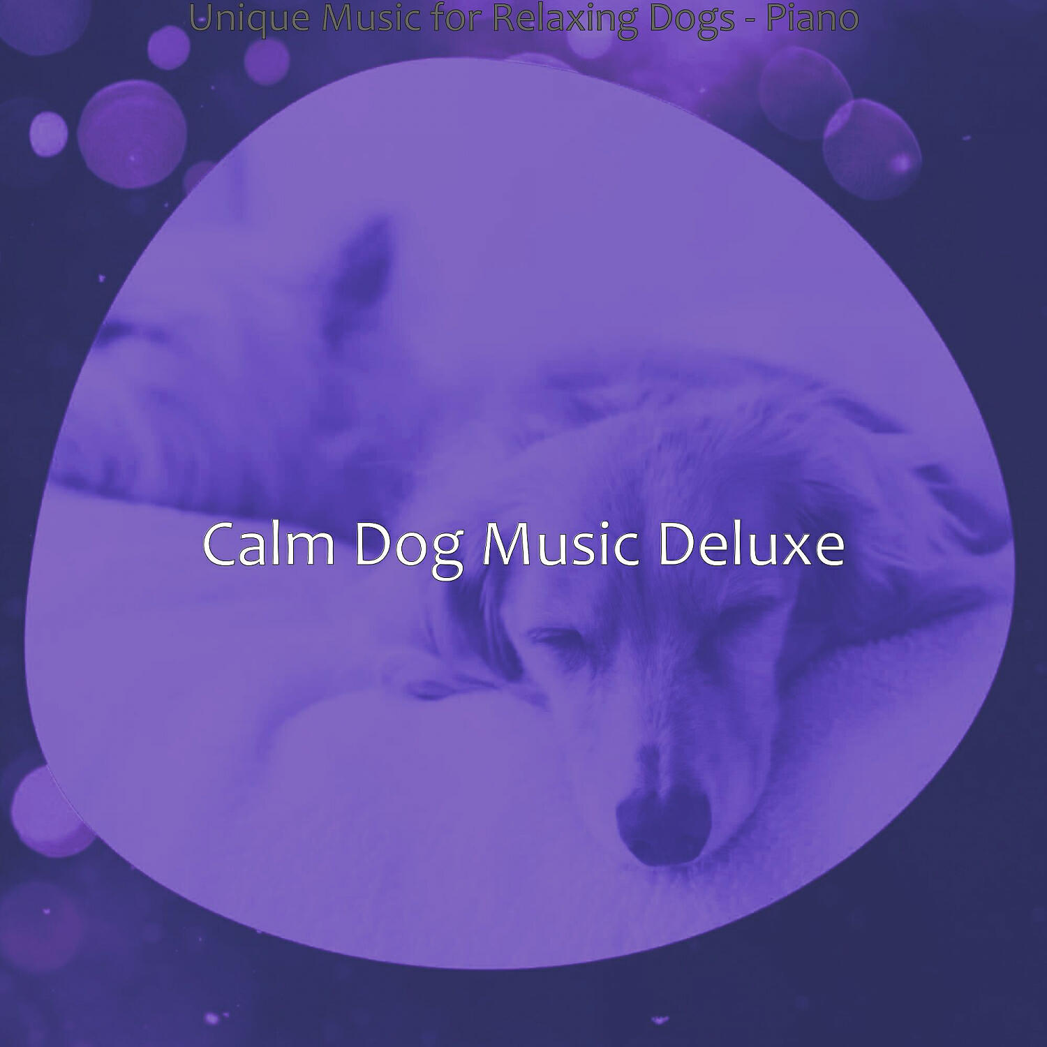 Calm Dog Music Deluxe - Sumptuous Solo Piano Jazz - Vibe for Calming Pups