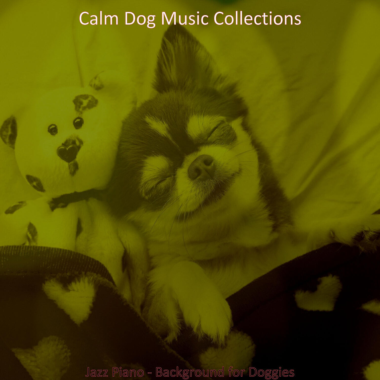 Calm Dog Music Collections - Magnificent Music for Doggy Training