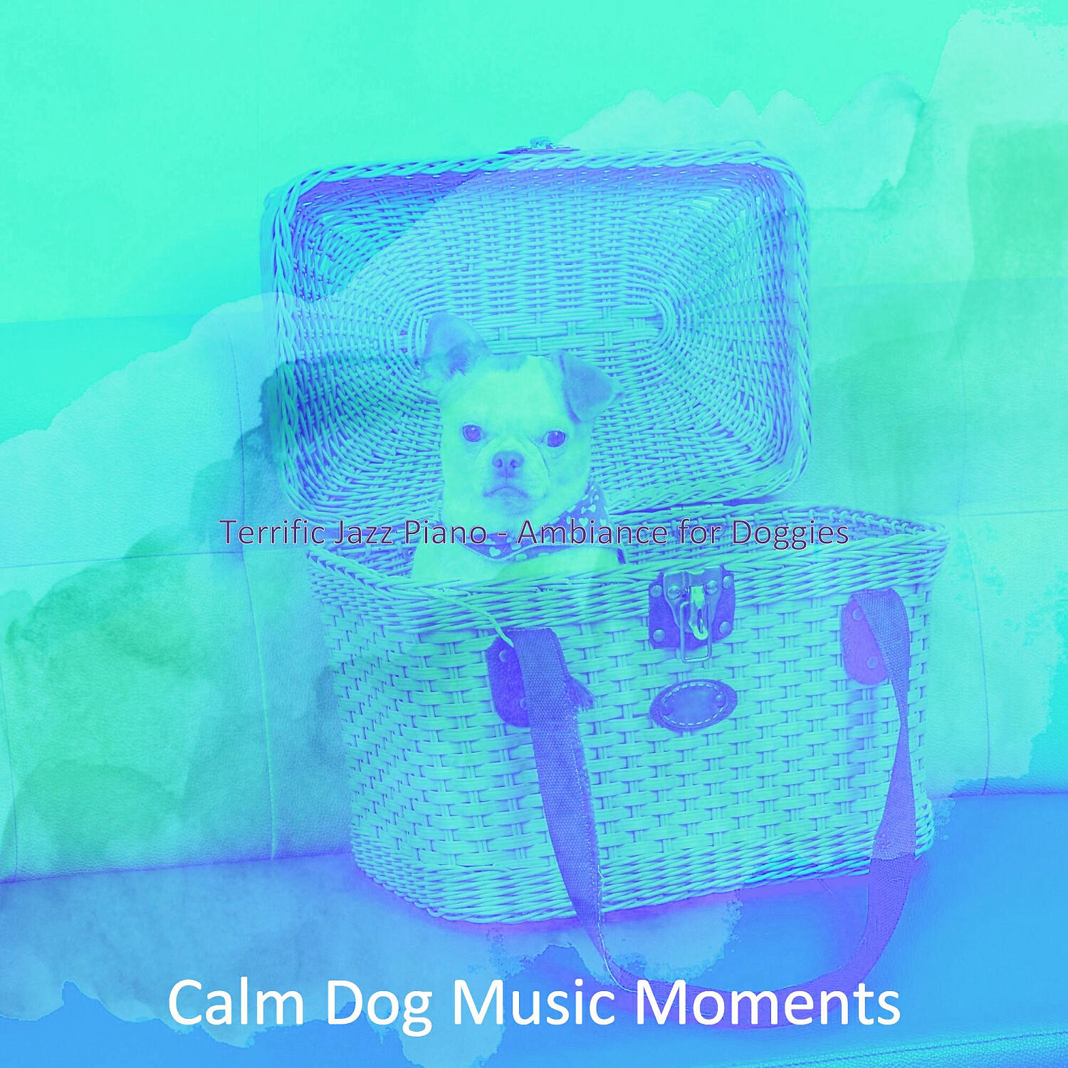 Calm Dog Music Moments - Hypnotic Backdrops for Walking Doggies