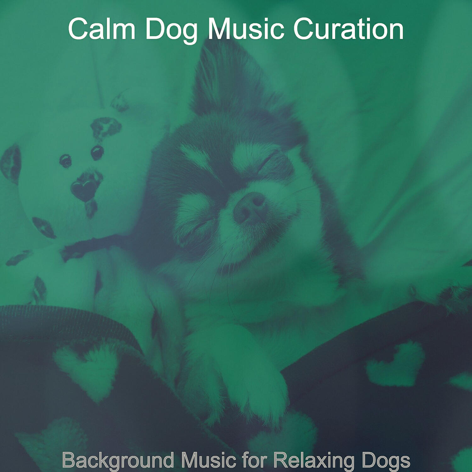 Calm Dog Music Curation - Pulsating Solo Piano Jazz - Vibe for Doggies