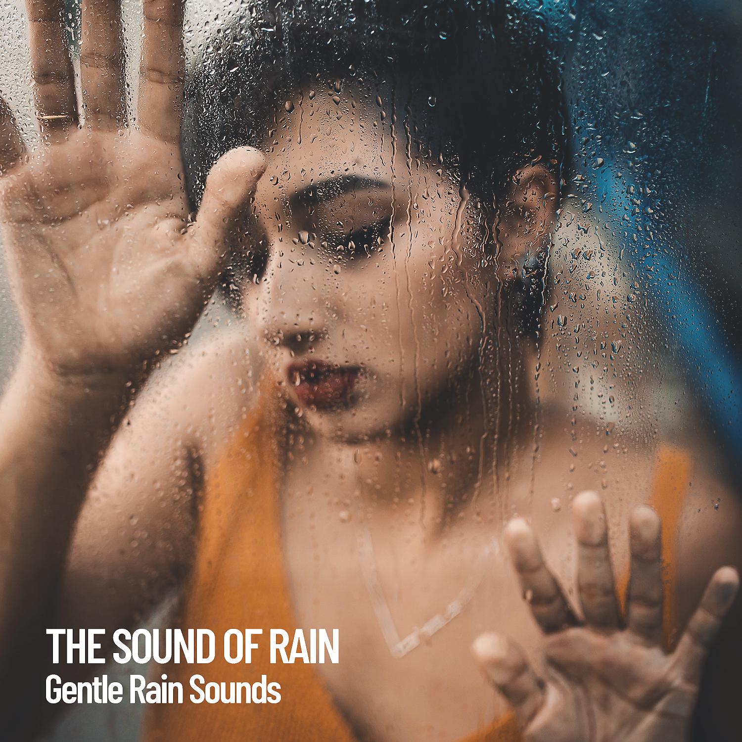 Постер альбома The Sound of Rain: Gentle Rain Sounds