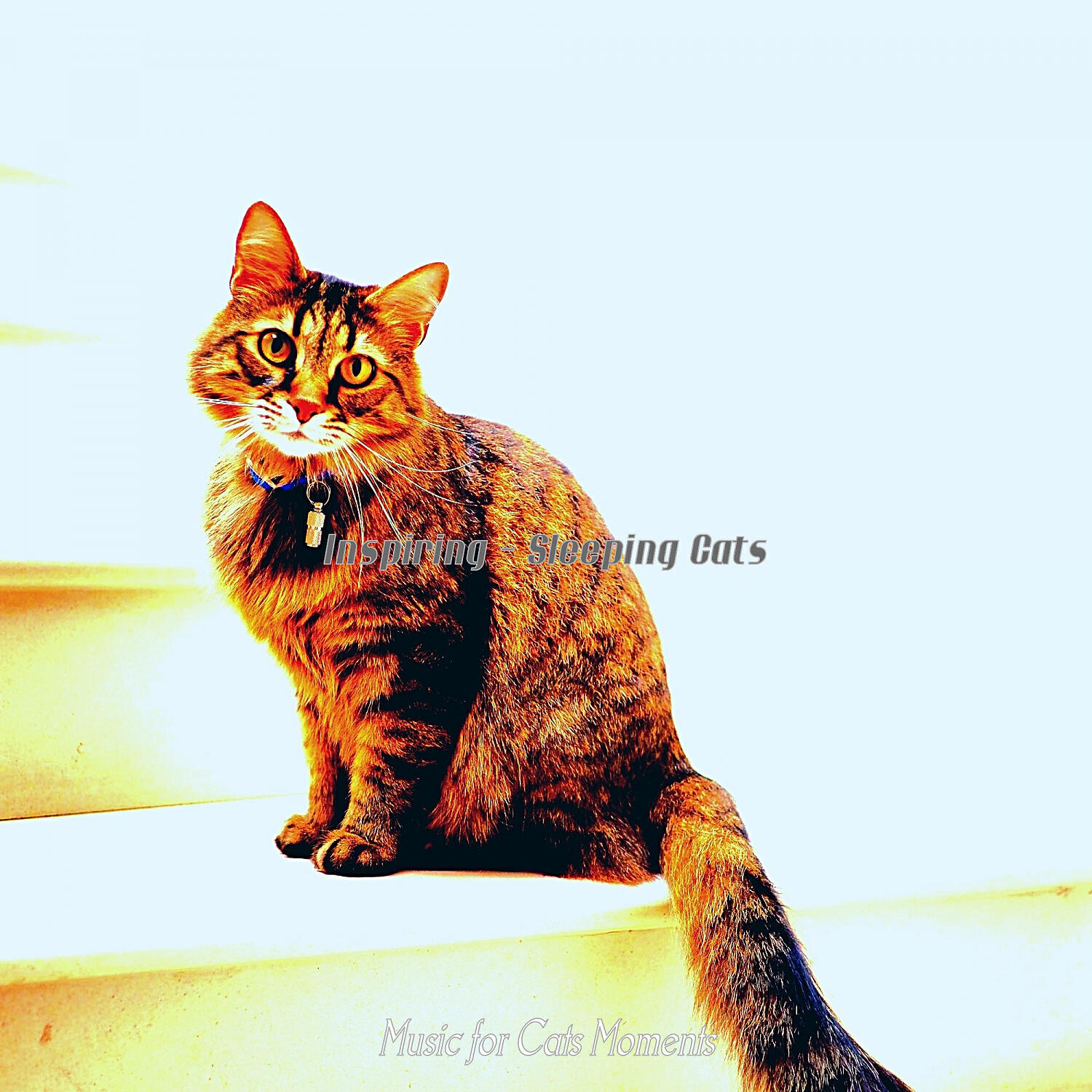 Music for Cats Moments - Quiet (Kittens)