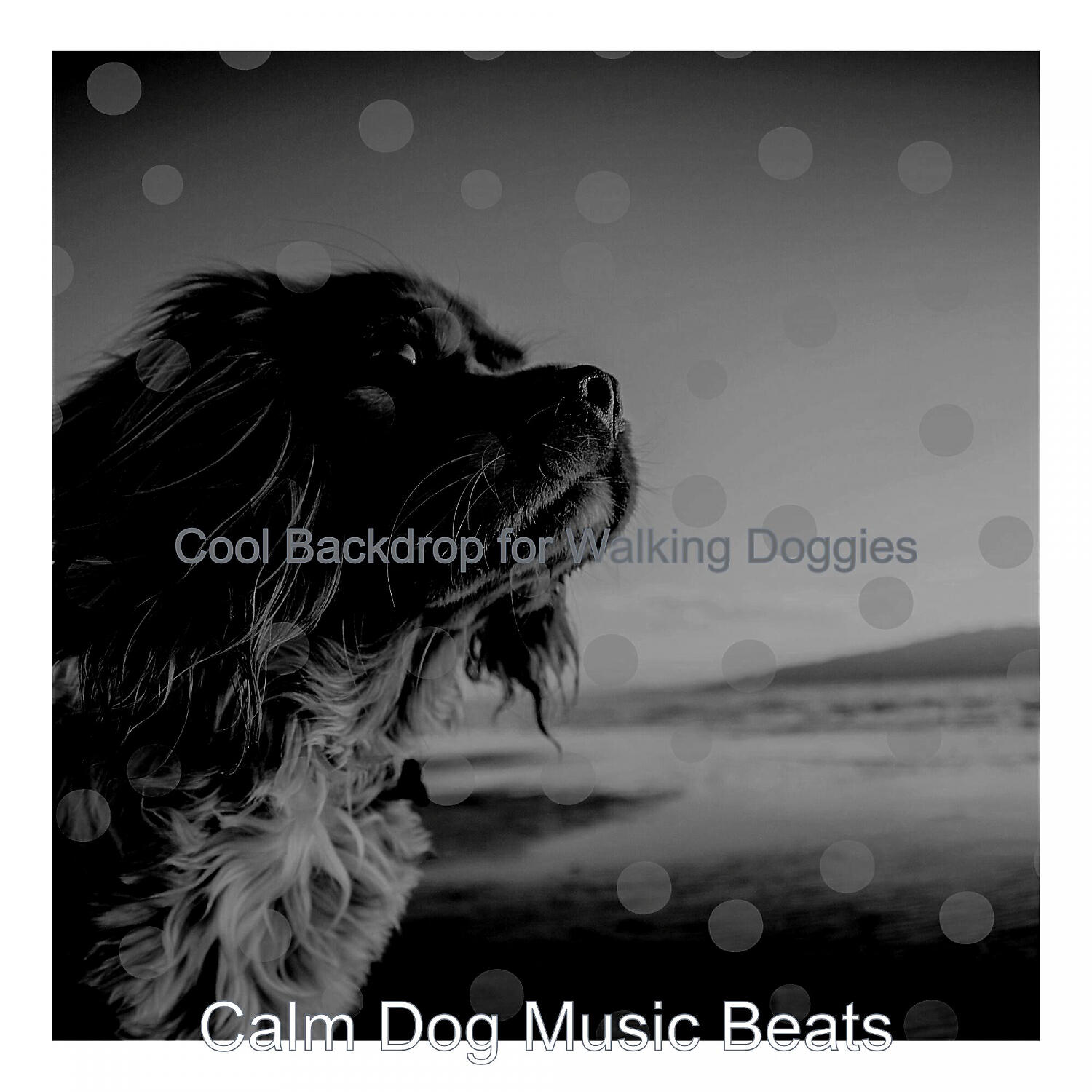 Calm Dog Music Beats - Soulful Ambiance for Walking Doggies