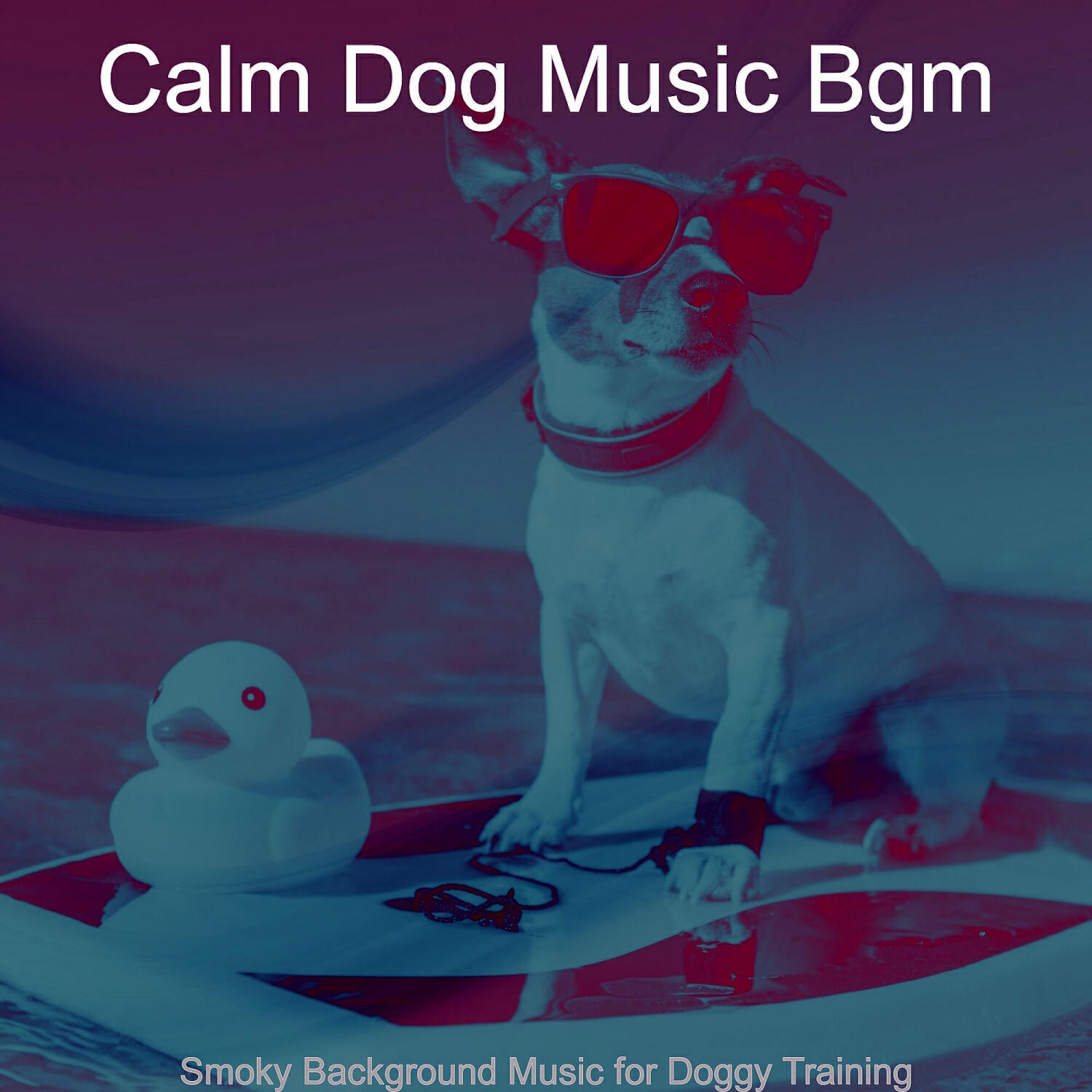 Calm Dog Music Bgm - Relaxed Backdrops for Cute Dogs