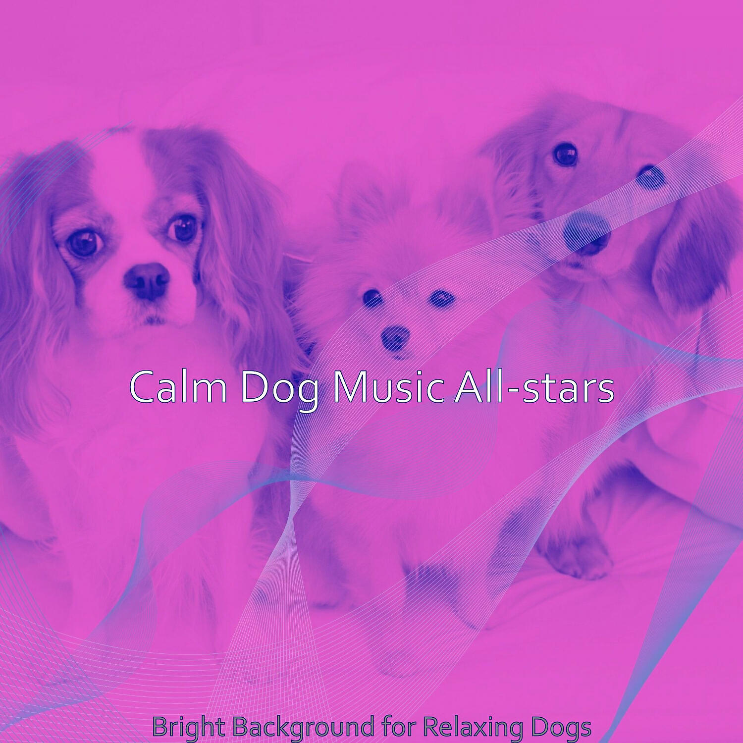 Calm Dog Music All-stars - Spirited Ambience for Calming Pups