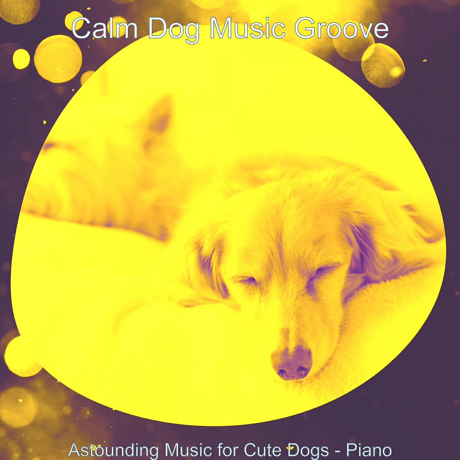 Calm Dog Music Groove - Warm Backdrops for Doggy Training