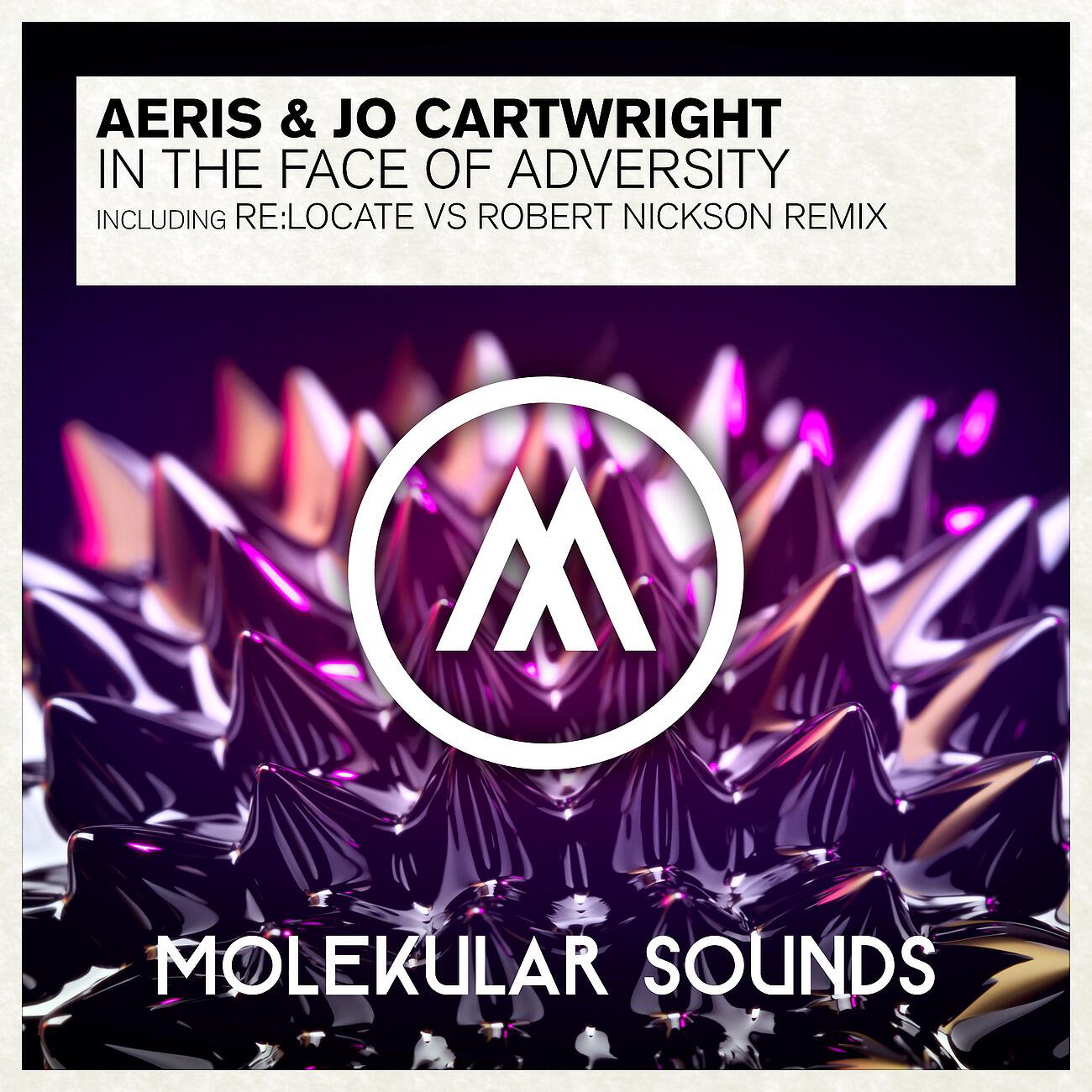 Aeris - In The Face of Adversity (Re:Locate vs. Robert Nickson Remix)