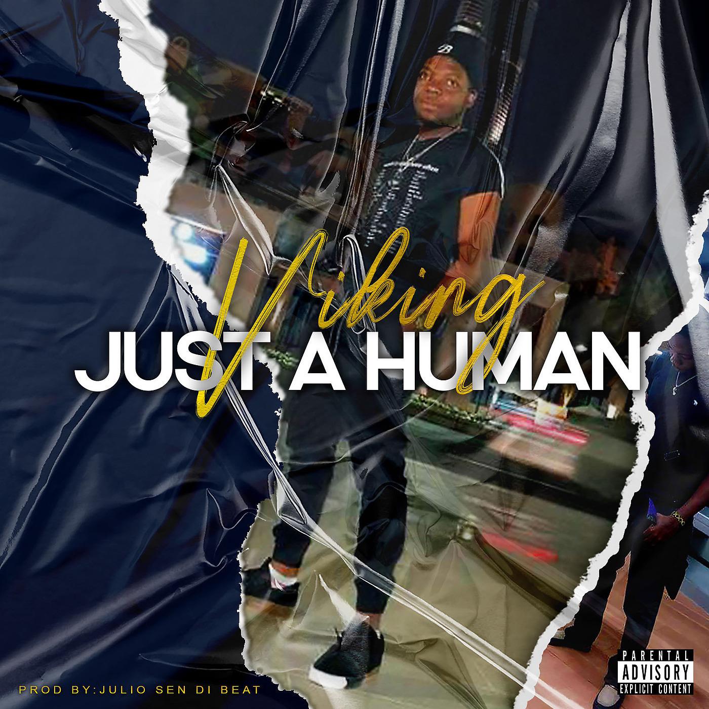 Постер альбома Just a Human
