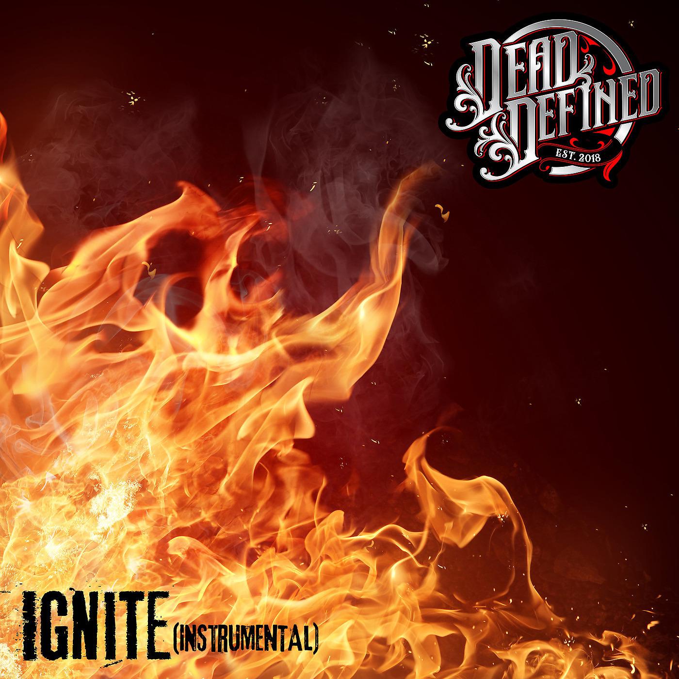 Постер альбома Ignite / Instrumental
