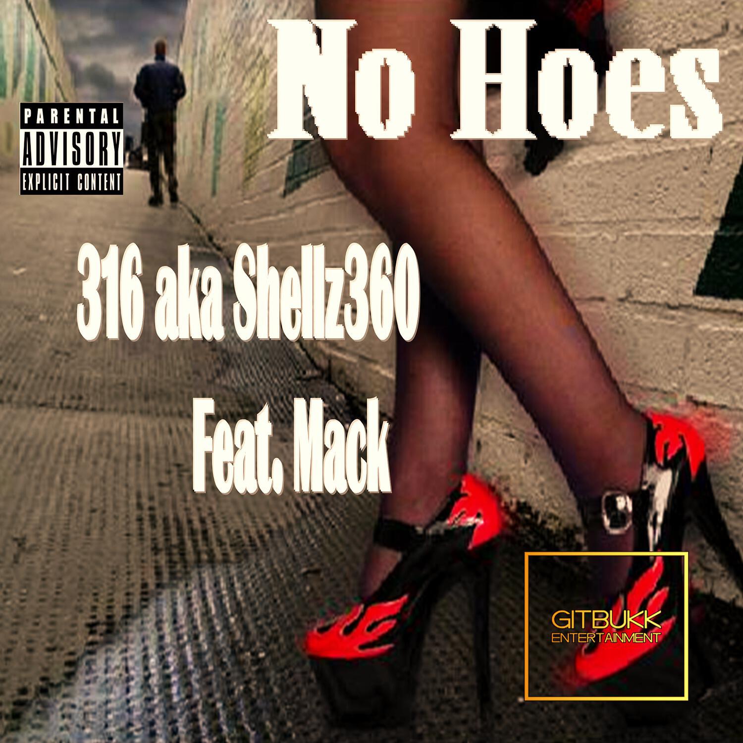 316 AKA Shellz 360 - No Hoes