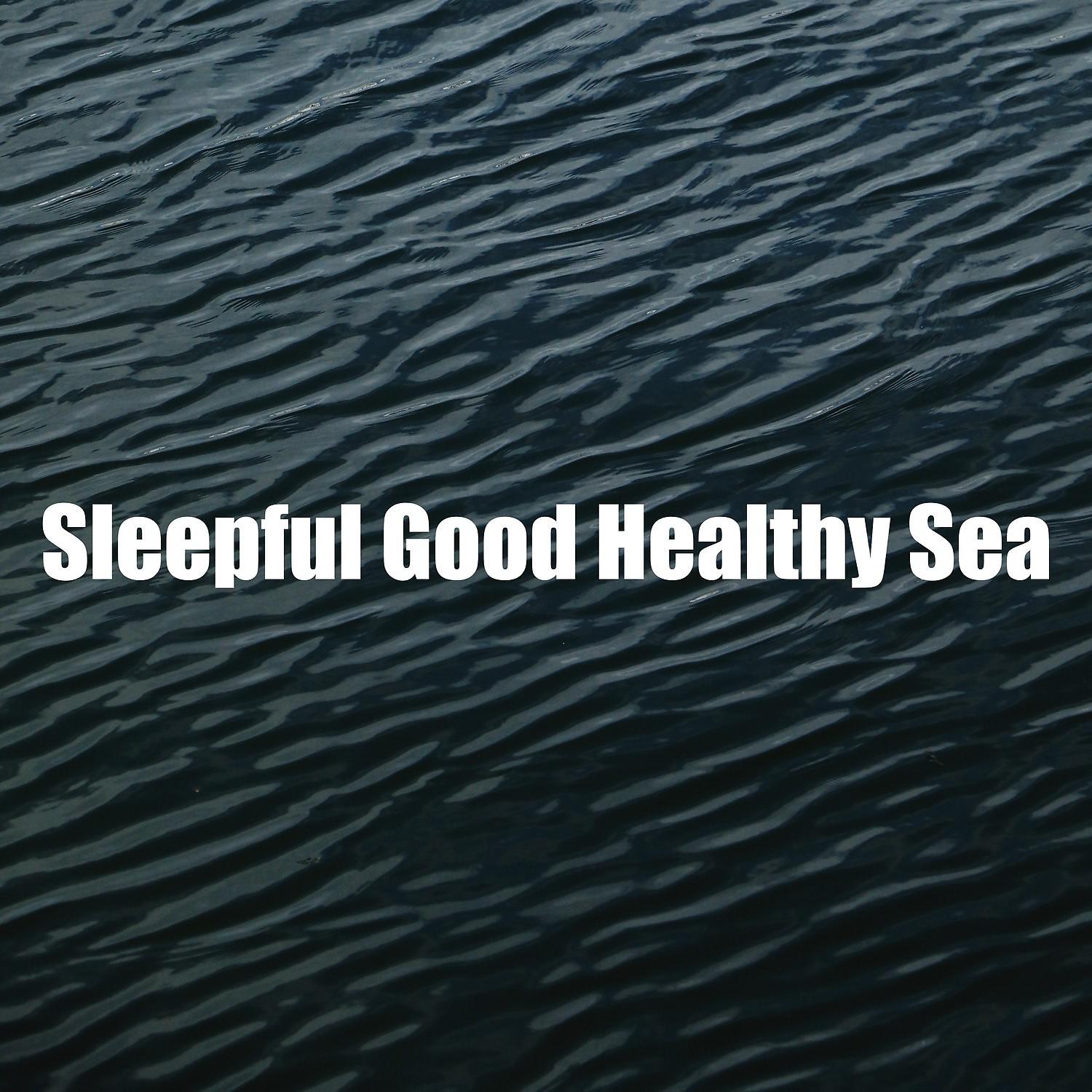 Постер альбома Sleepful Good Healthy Sea
