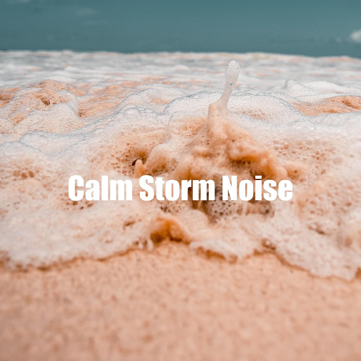 Постер альбома Calm Storm Noise