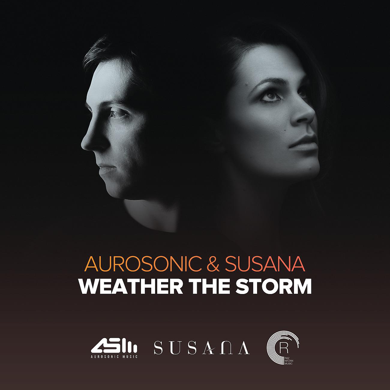 Постер альбома Weather The Storm