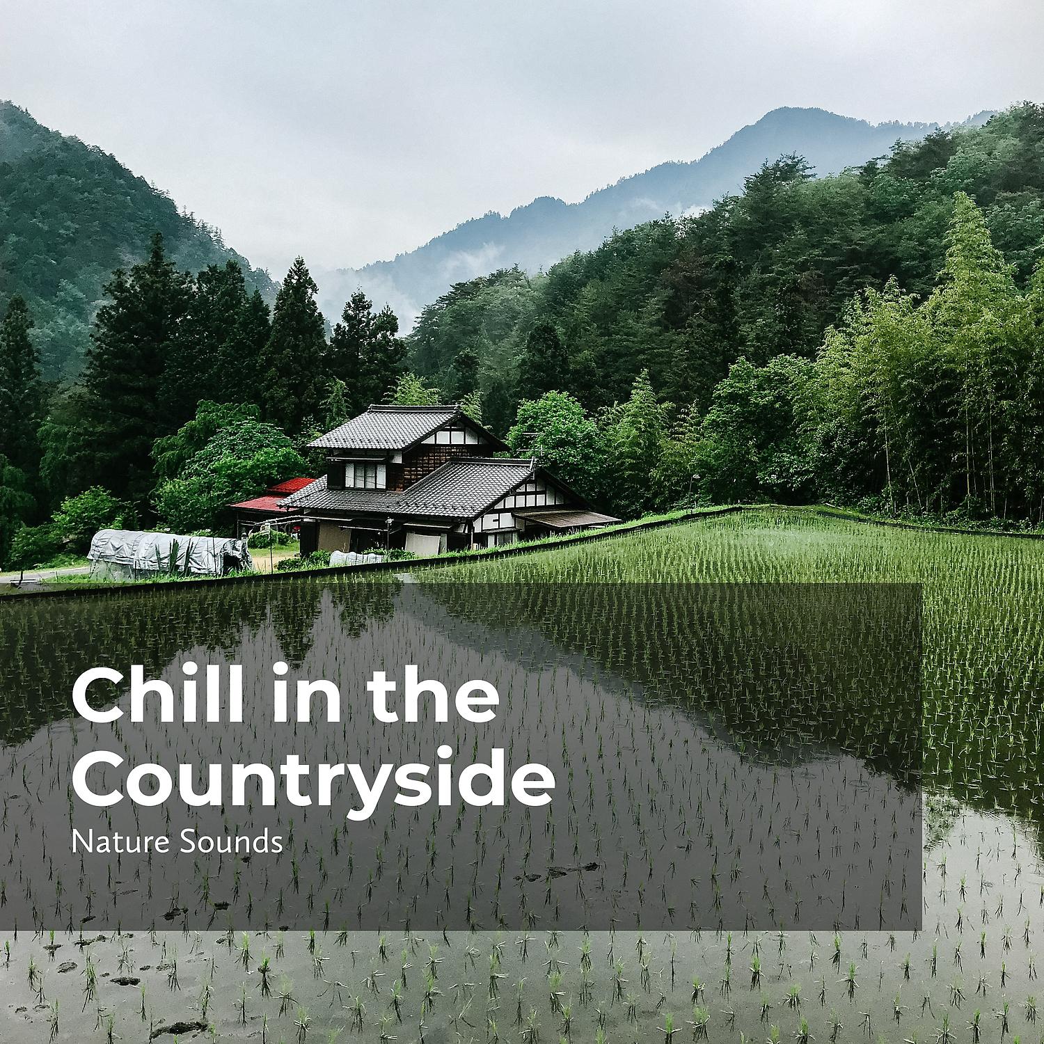 Постер альбома Chill in the Countryside
