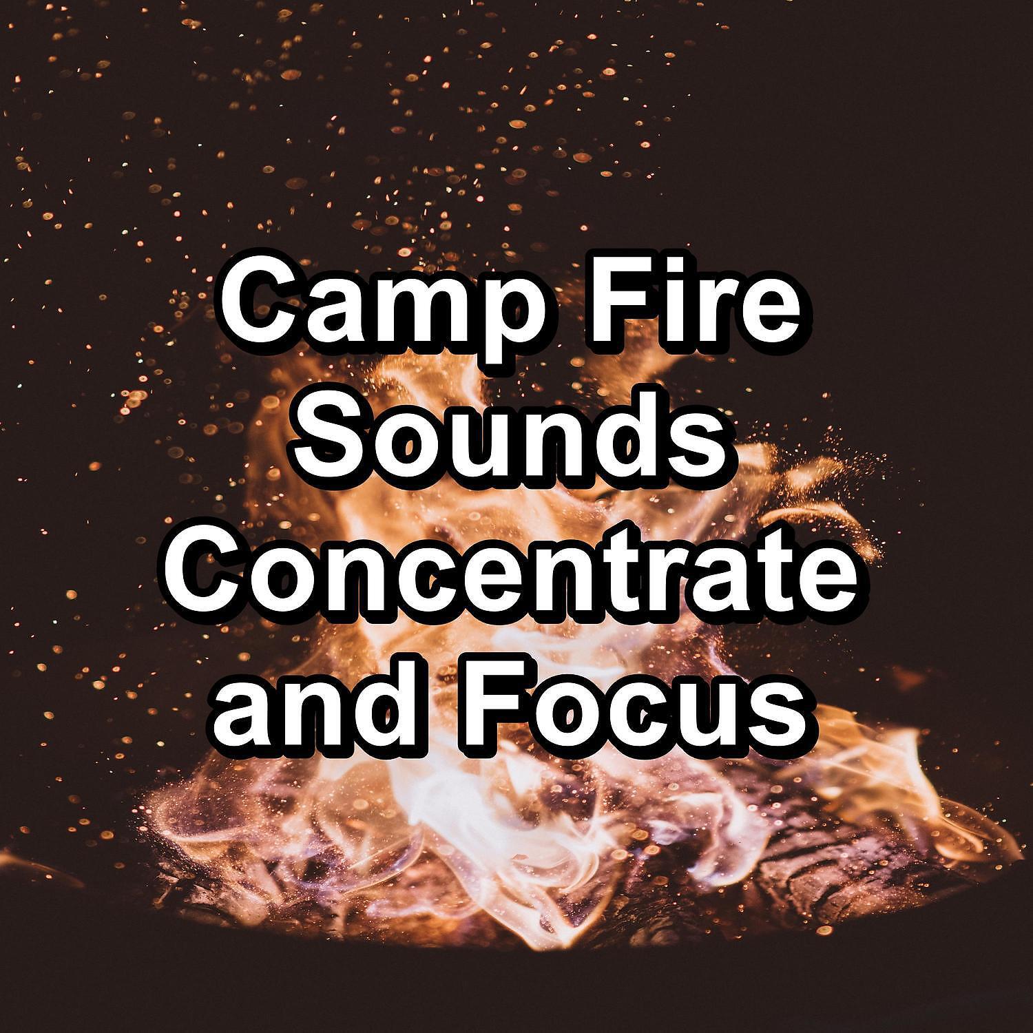 Fireplace Music - Evening Fireplace Instant Relax For Infants