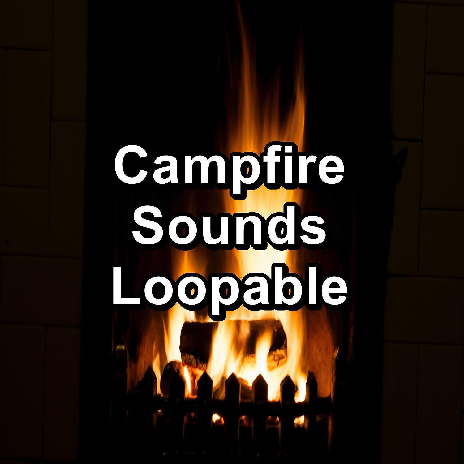 Постер альбома Campfire Sounds Loopable