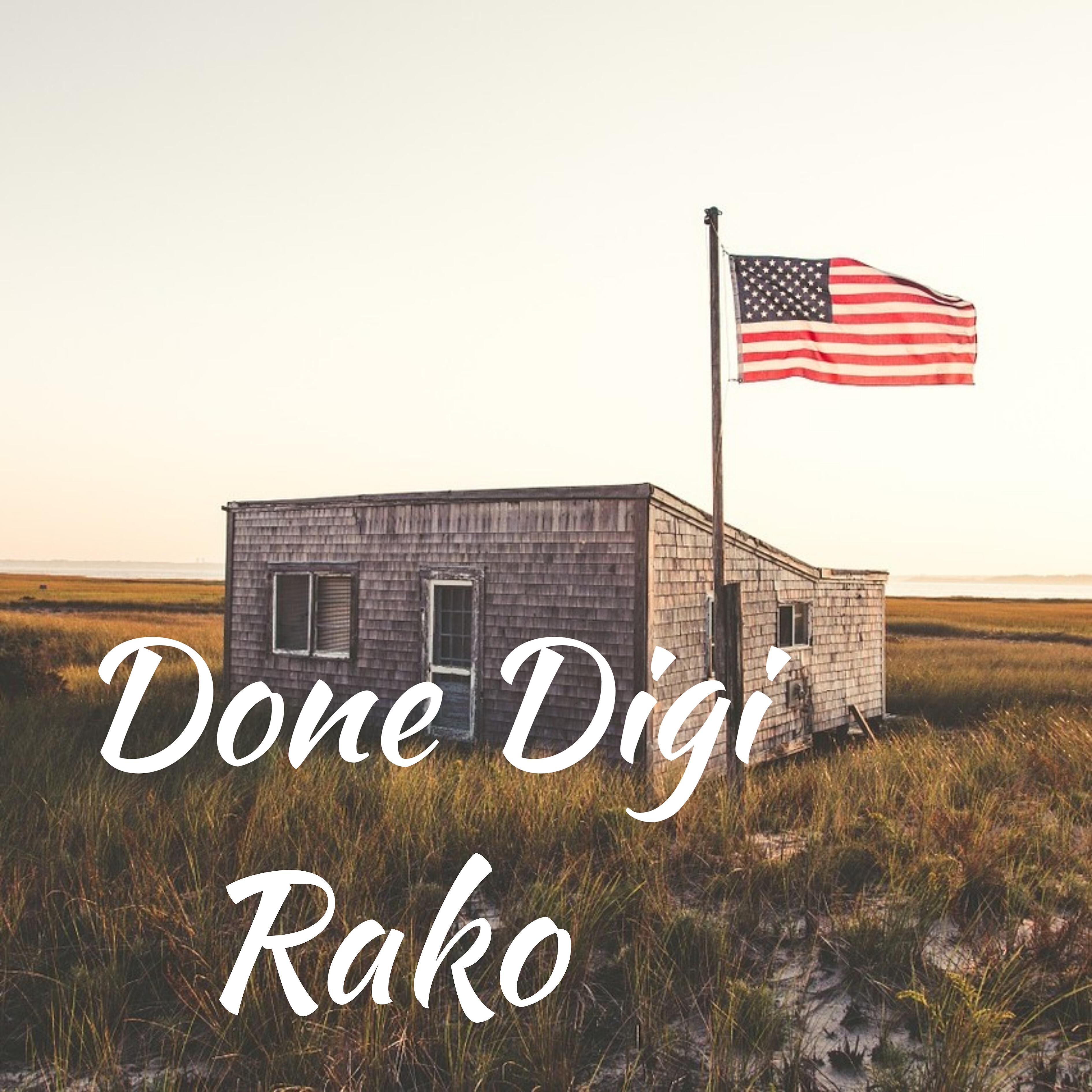 Rako - The Healing
