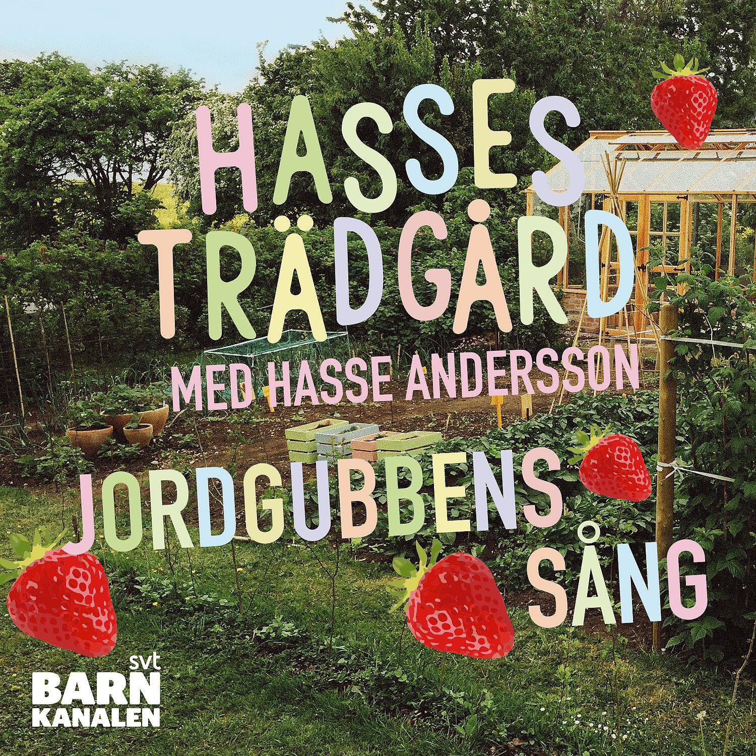 Hasse Andersson - Jordgubbens sång