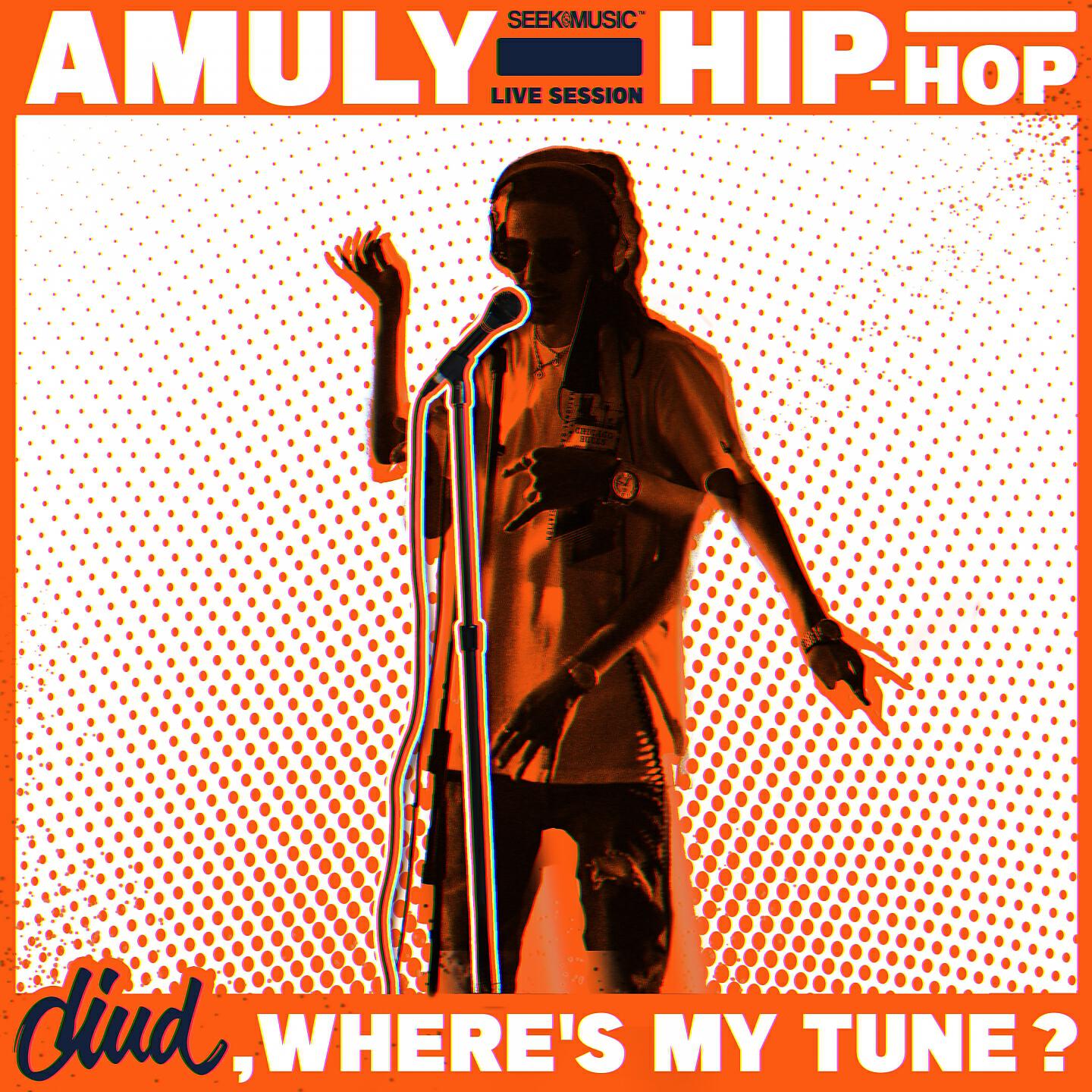 Amuly - Hip-Hop (Live at Diud, Where's My Tune?)