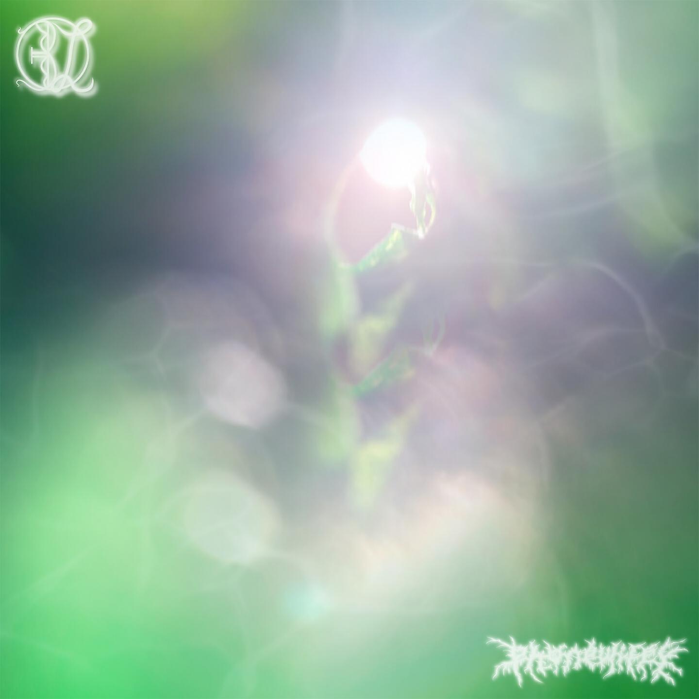 phonewifey - FULL CIRCLE